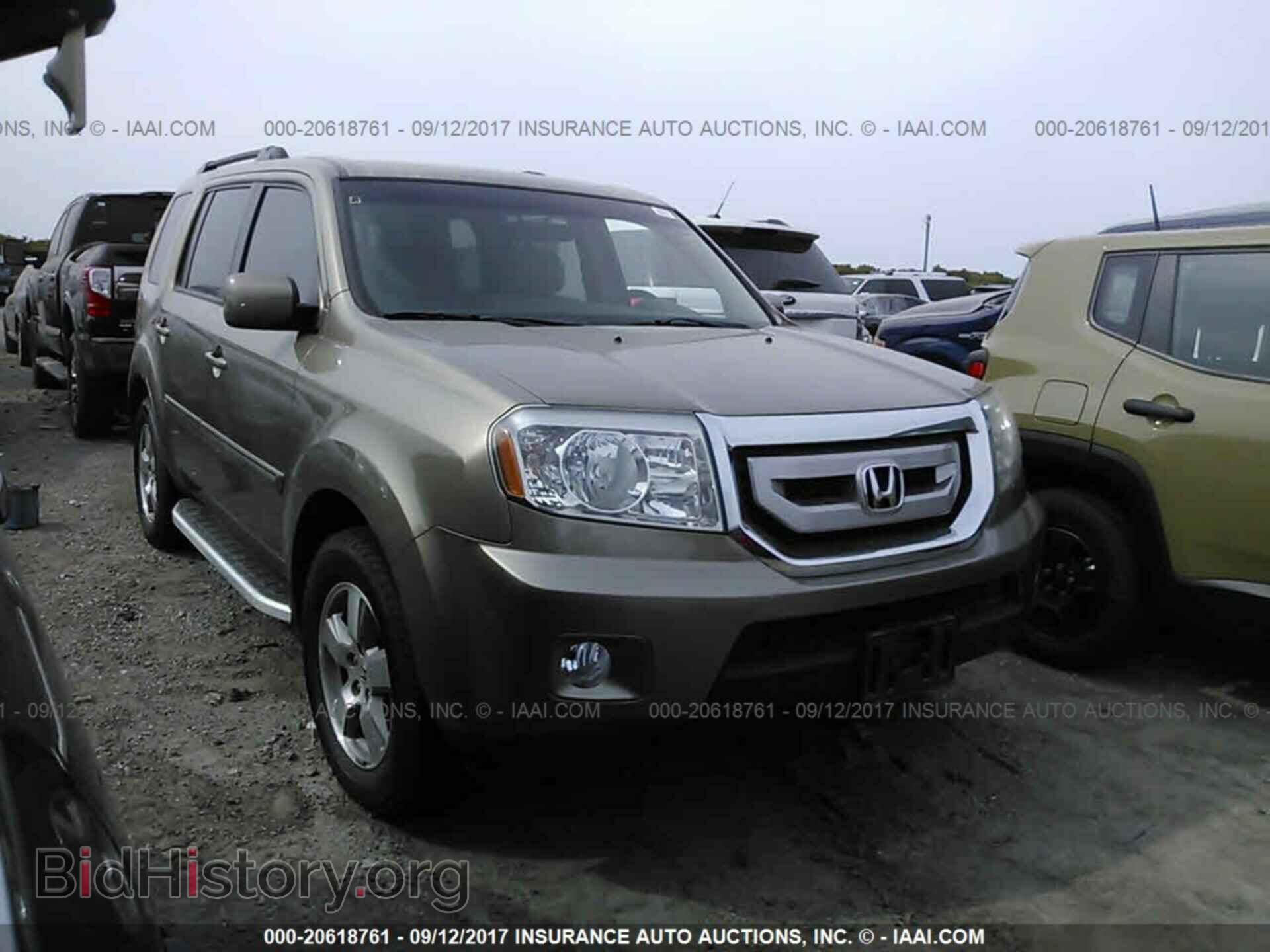 Фотография 5FNYF3H41BB021566 - Honda Pilot 2011