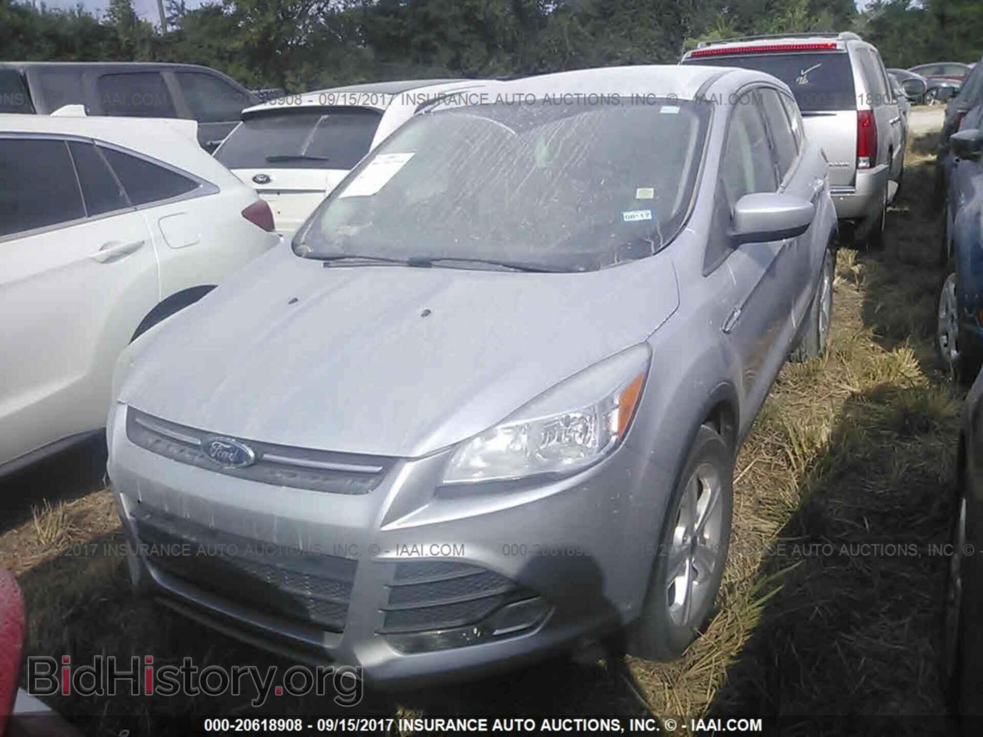 2013 Ford Escape - VIN: 1FMCU0G91DUD93846 - Фото 2
