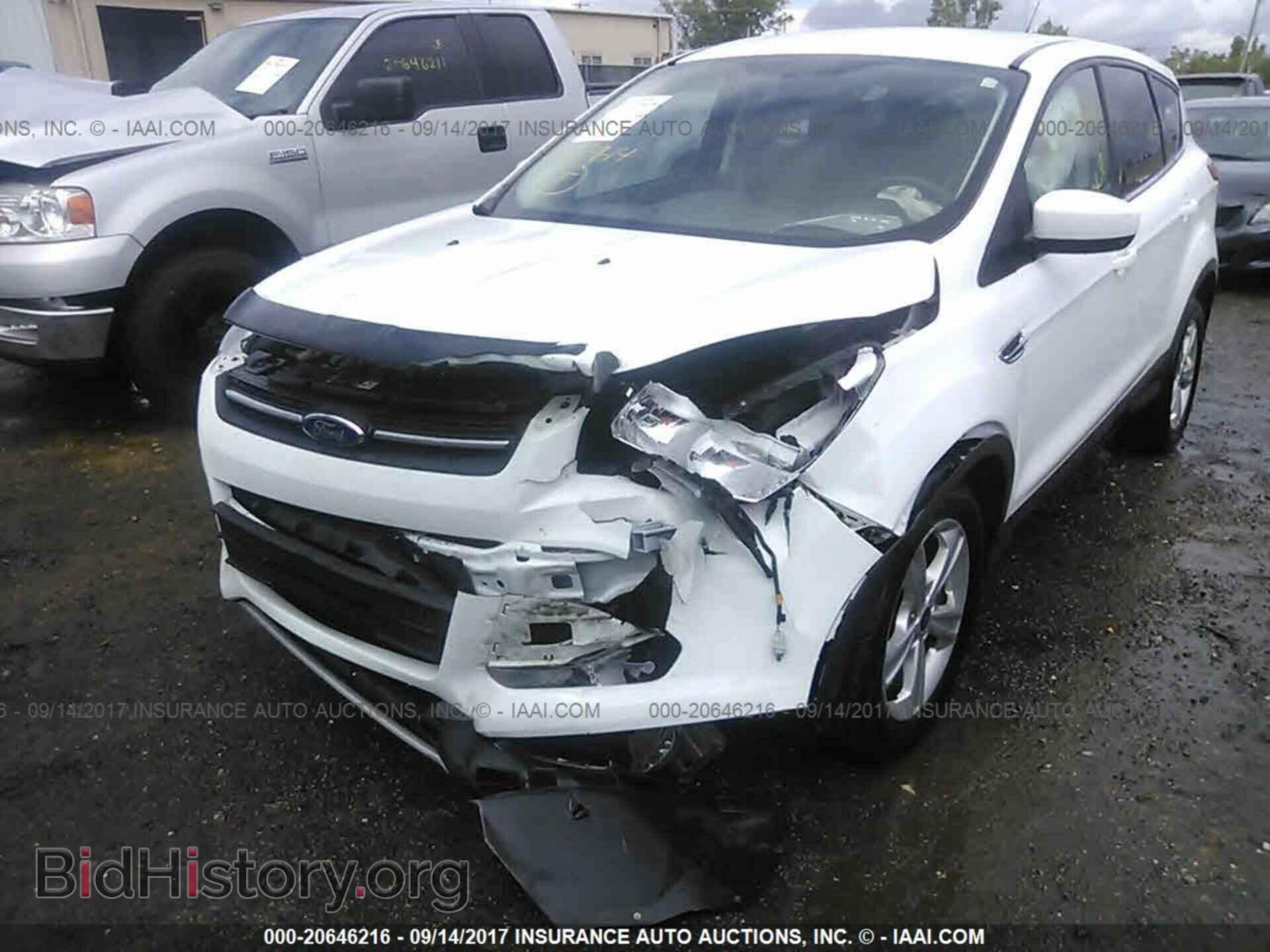 2013 Ford Escape - VIN: 1FMCU0GX8DUB02094 - Photo 6