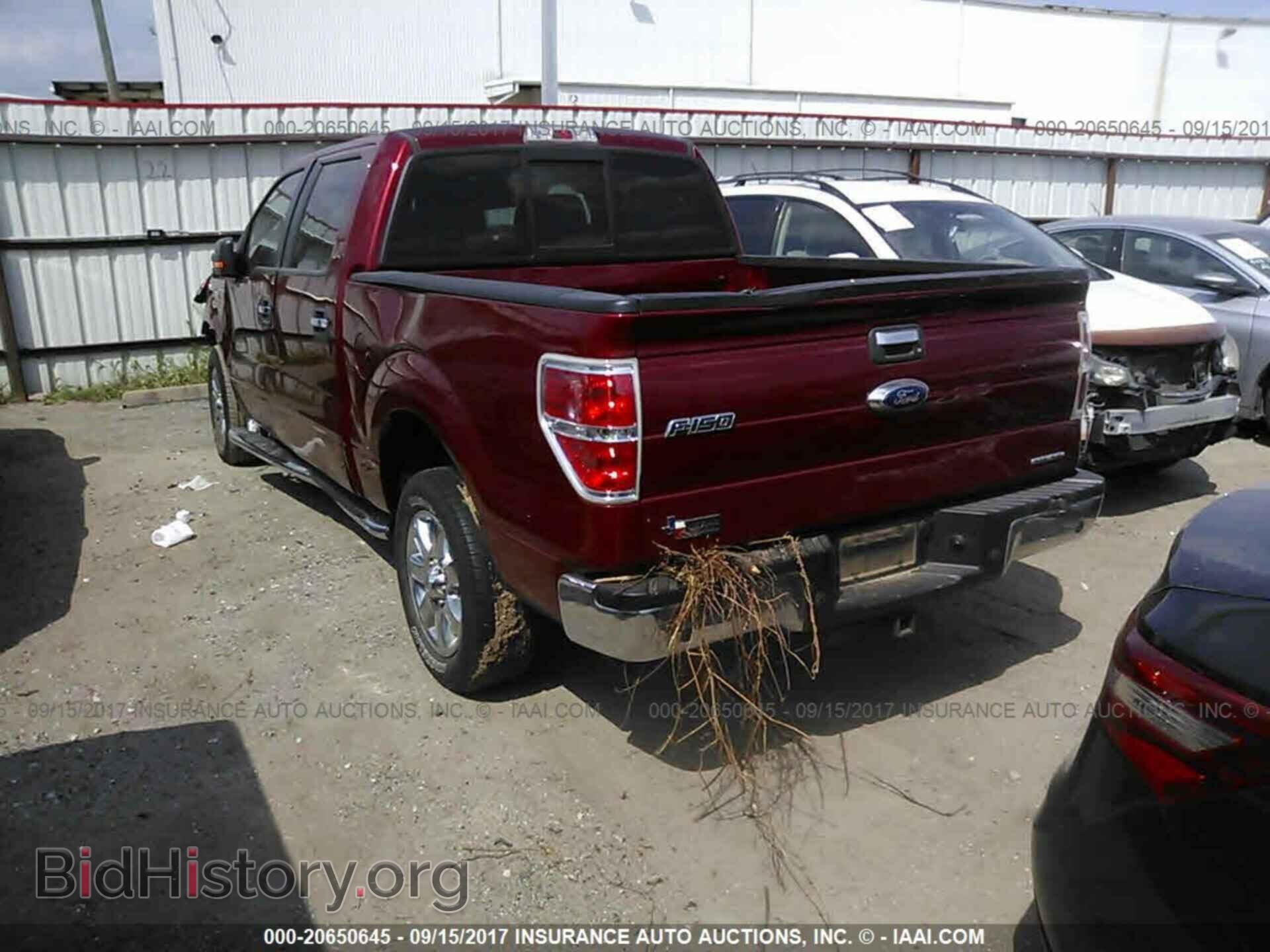 2014 Ford F150 - VIN: 1FTFW1CF8EKG46414 - Фото 3