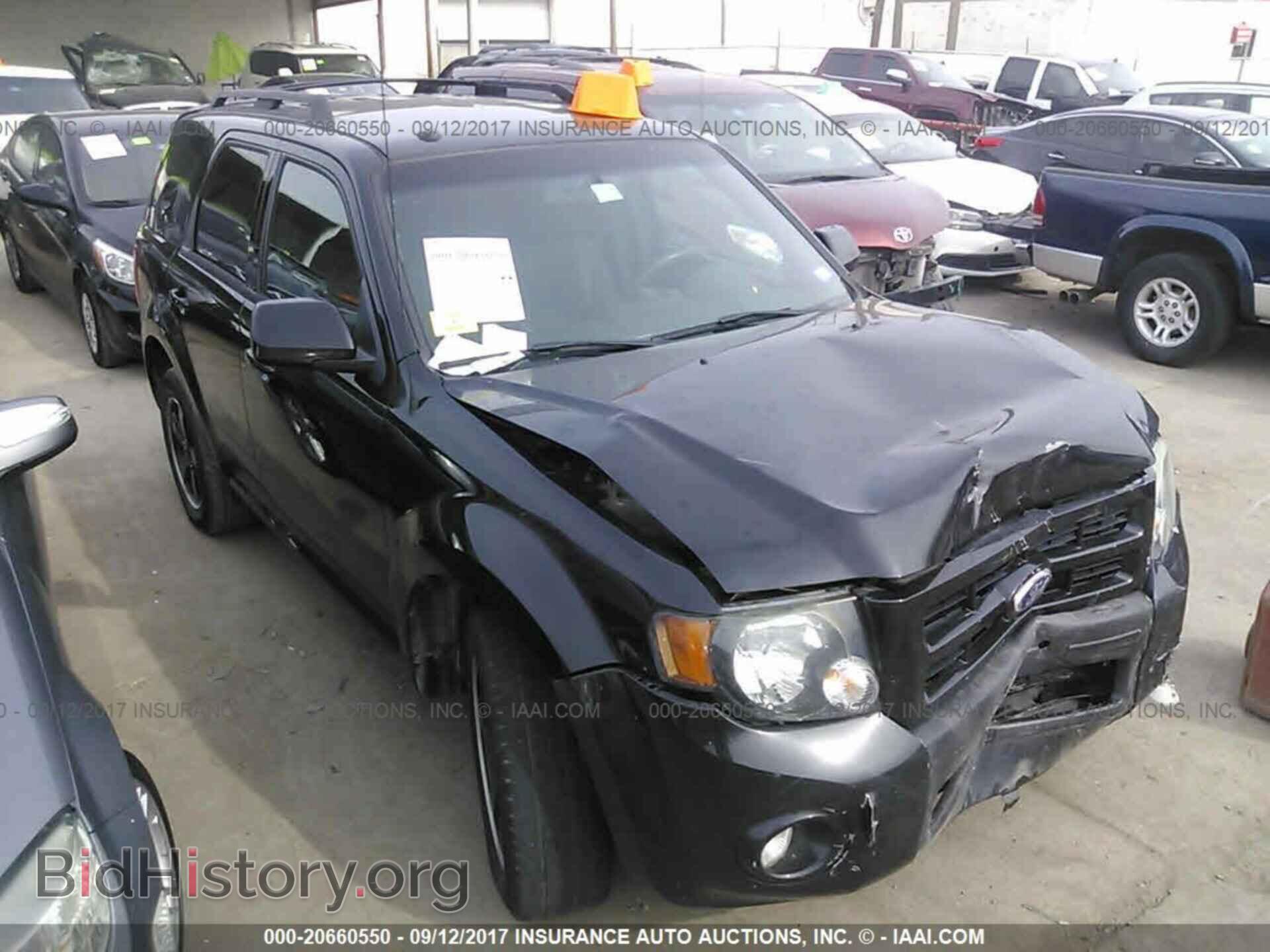 Фотография 1FMCU0D76BKA68038 - Ford Escape 2011