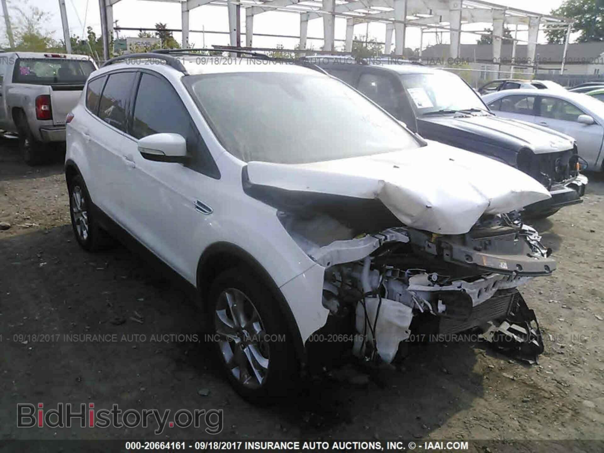 Photo 1FMCU0H9XDUB74253 - Ford Escape 2013
