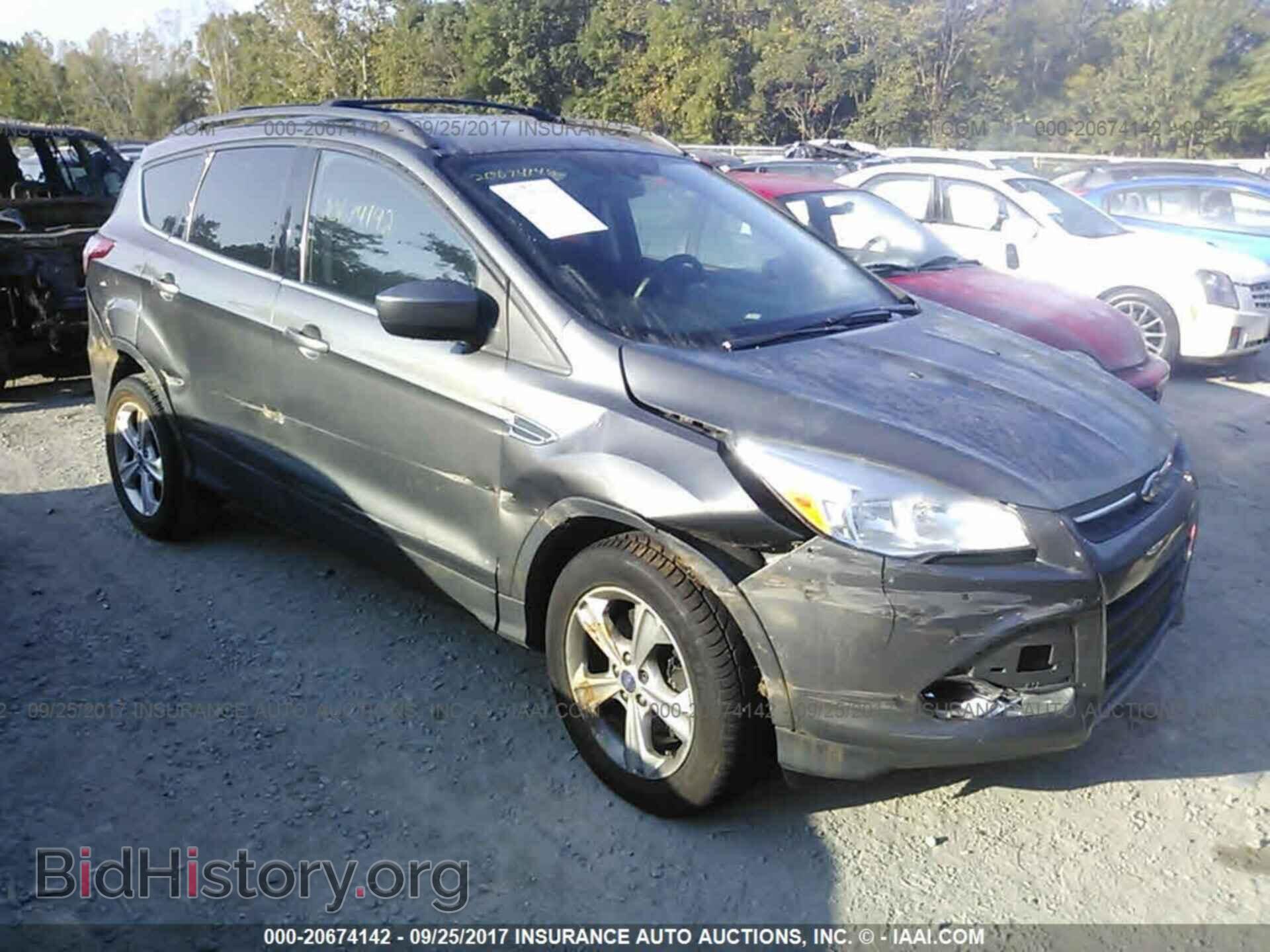 Фотография 1FMCU0G92DUC72999 - Ford Escape 2013