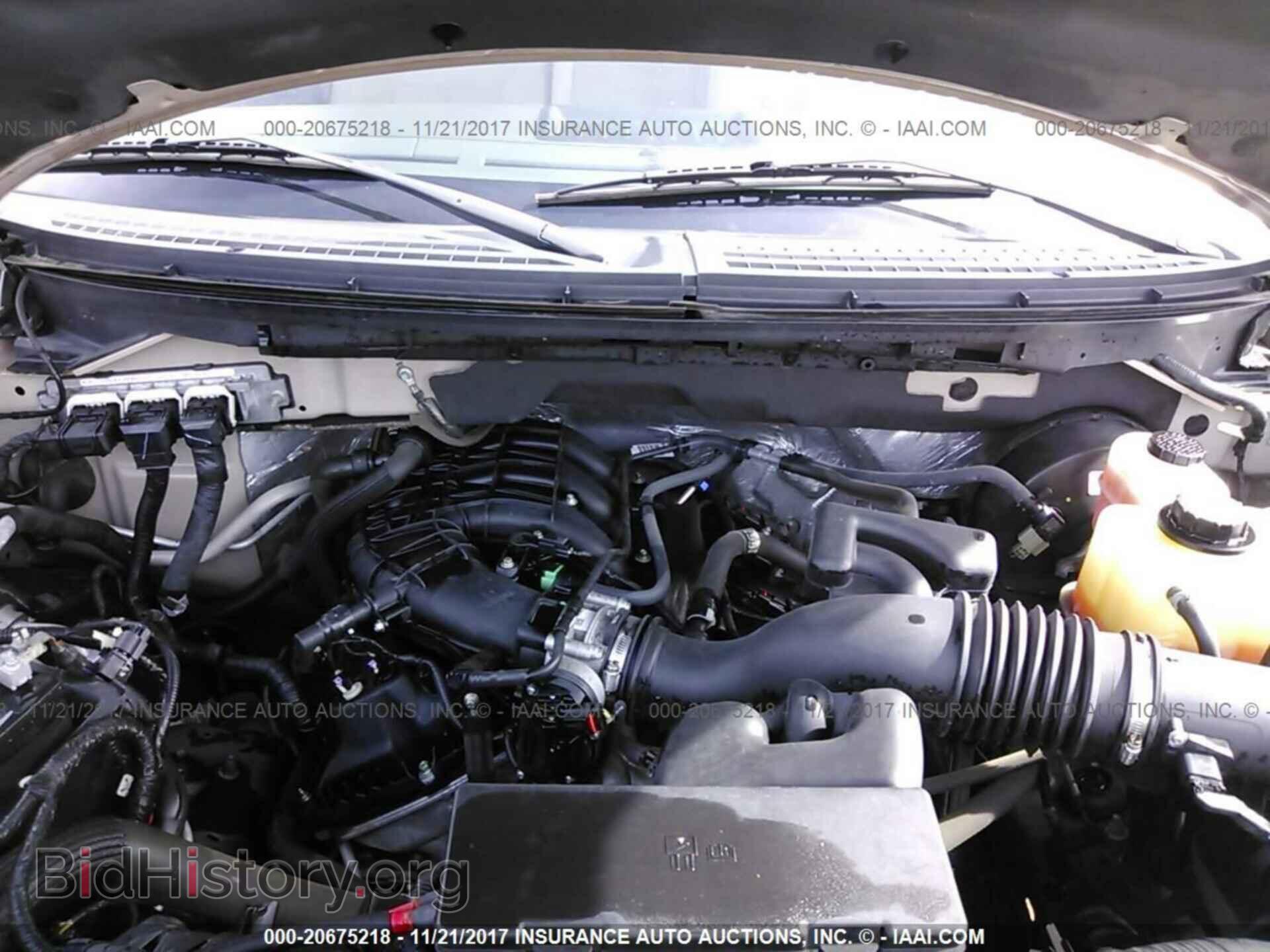 2013 Ford F150 - VIN: 1FTEW1CM9DKD06178 - Photo 10