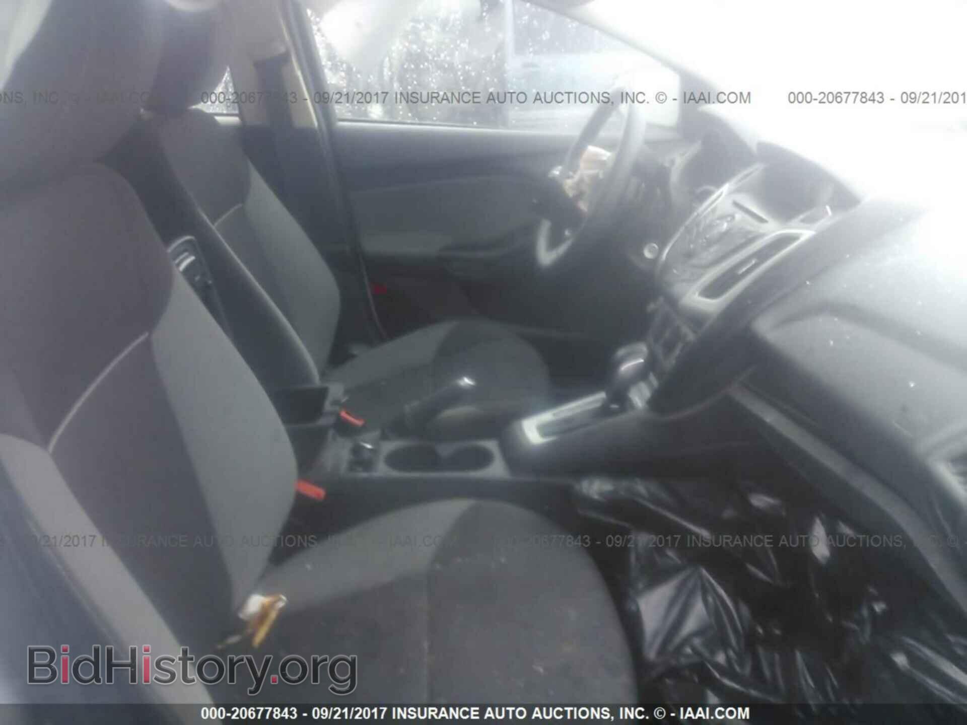2013 Ford Focus - VIN: 1FADP3K21DL255604 - Фото 5