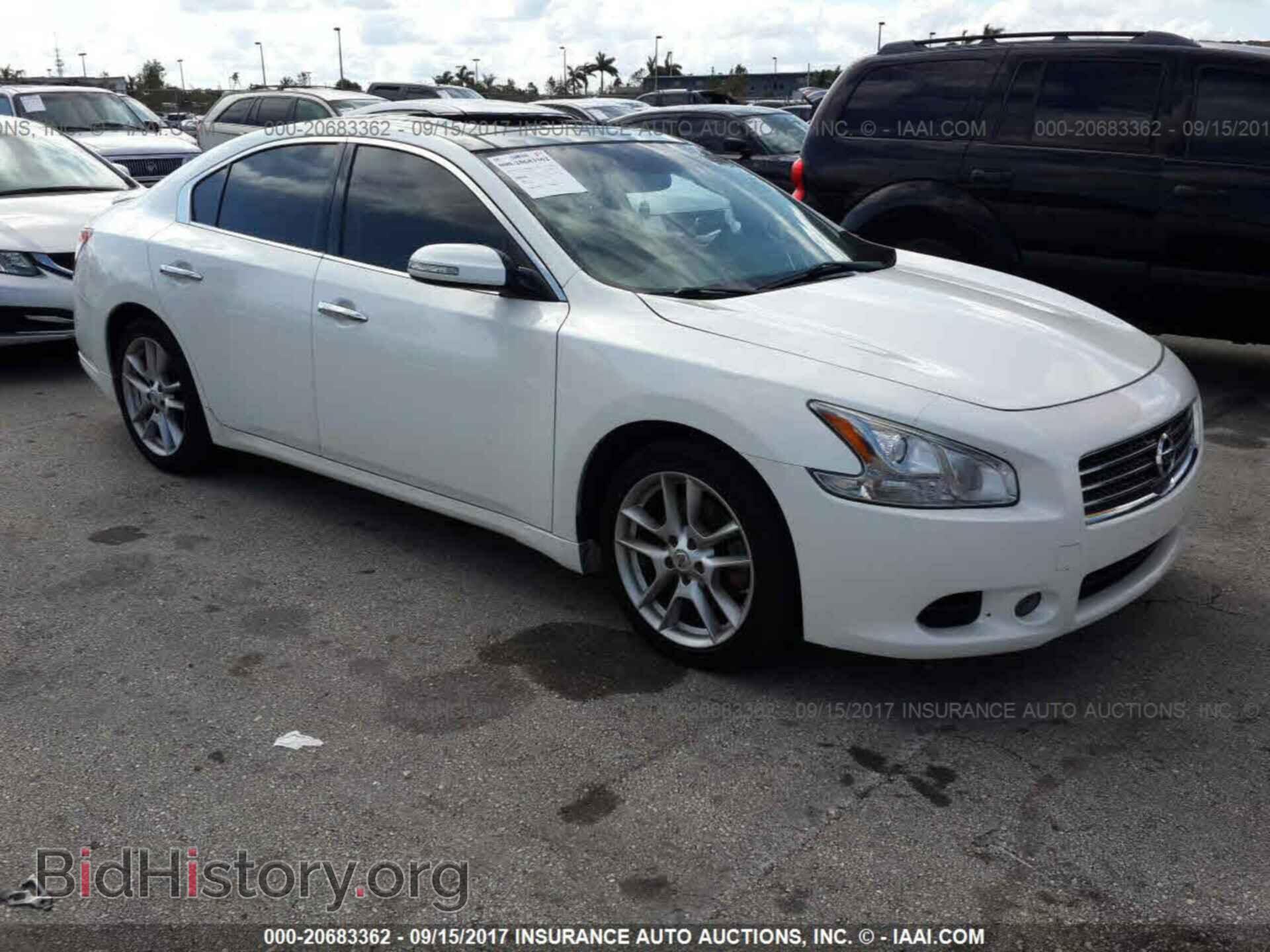 Фотография 1N4AA5AP3BC859424 - Nissan Maxima 2011
