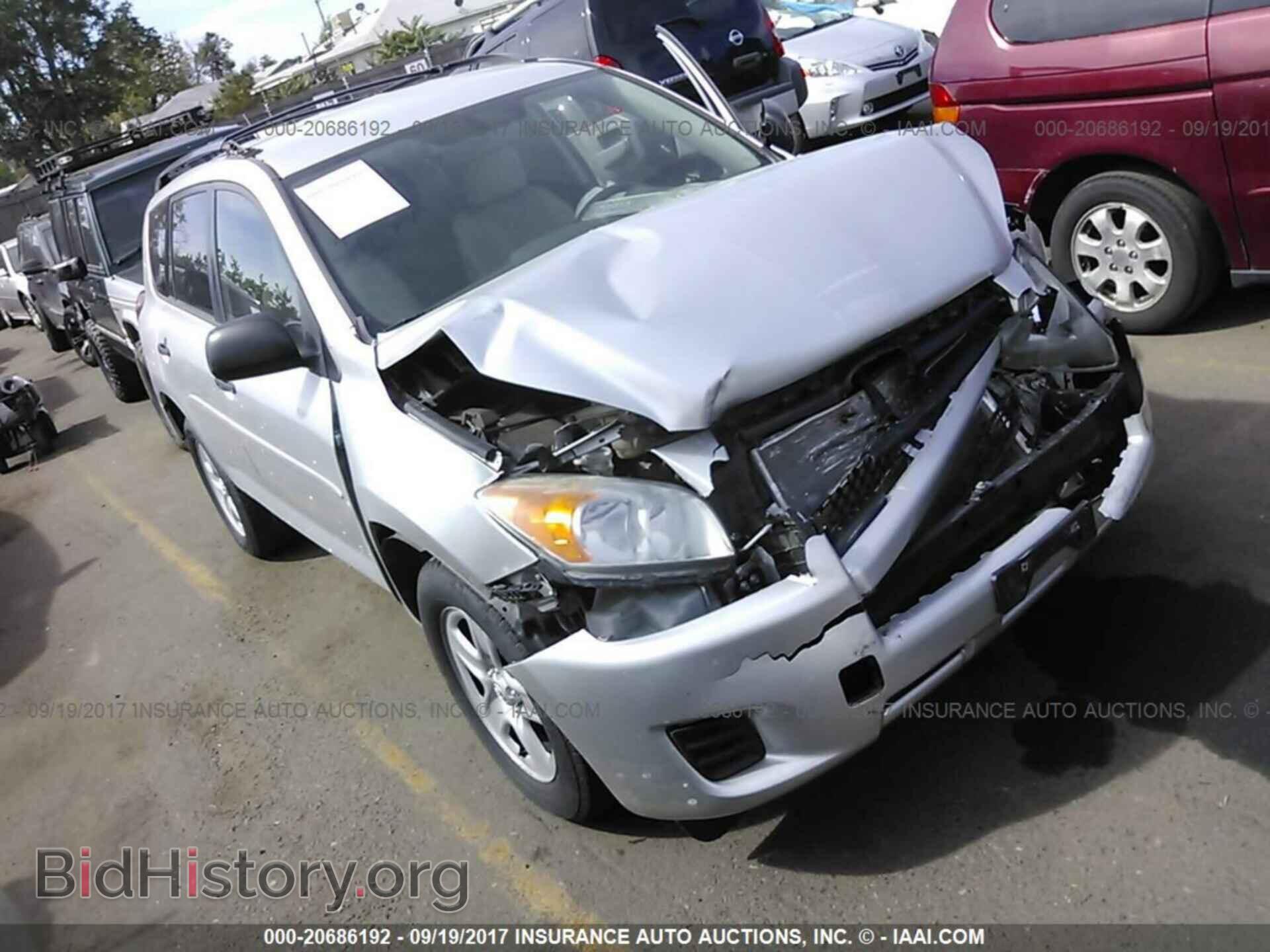 Фотография 2T3BF4DV4BW169912 - Toyota Rav4 2011