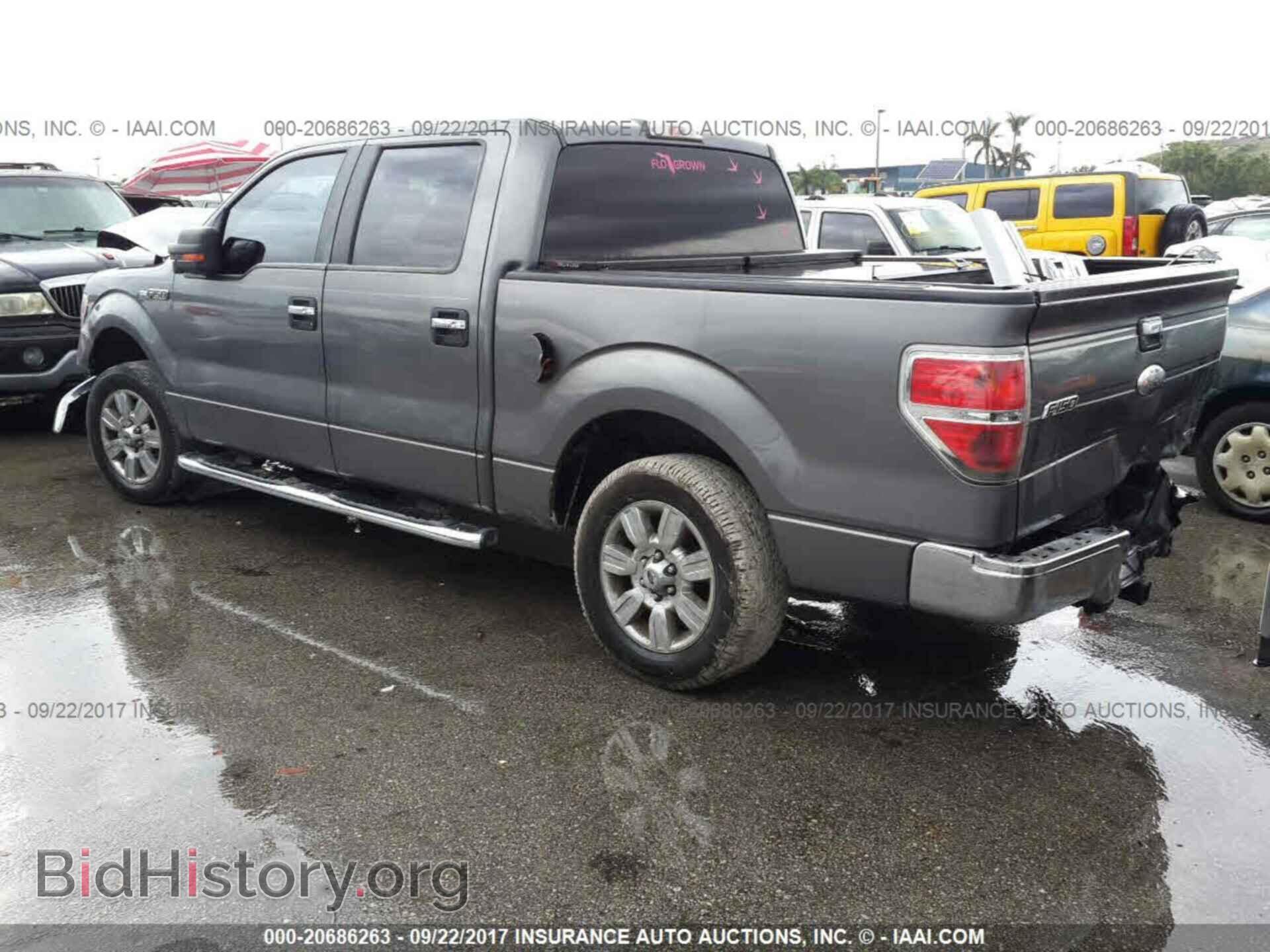 2012 Ford F150 - VIN: 1FTEW1CM0CKD29010 - Фото 3