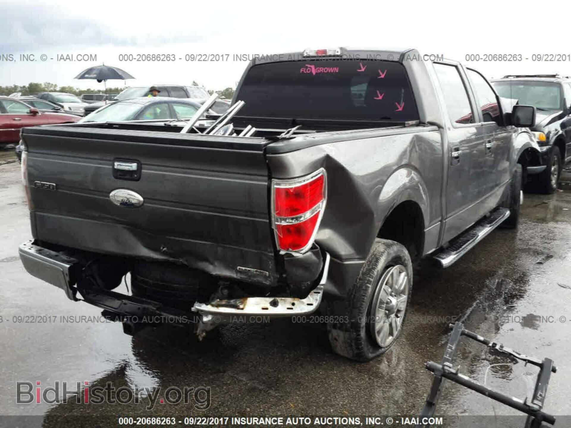 2012 Ford F150 - VIN: 1FTEW1CM0CKD29010 - Фото 4