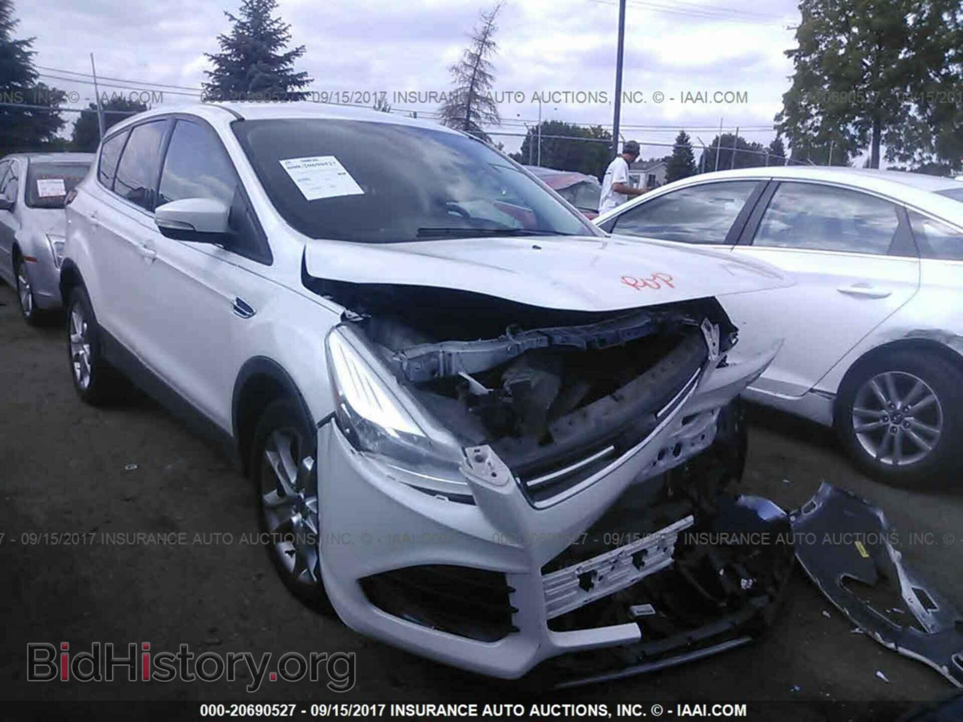 Фотография 1FMCU0H92DUA52695 - Ford Escape 2013
