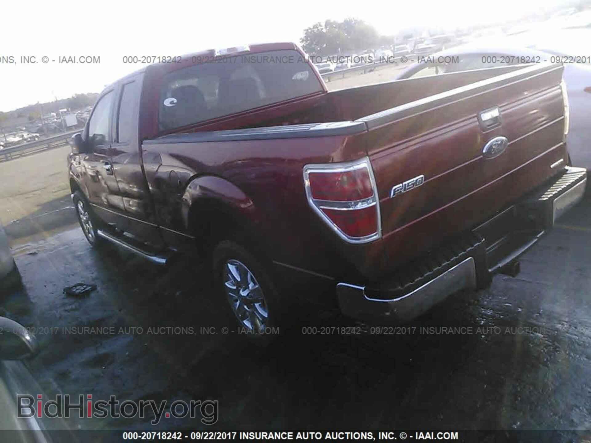 2013 Ford F150 - VIN: 1FTEX1CM5DFD37577 - Фото 3