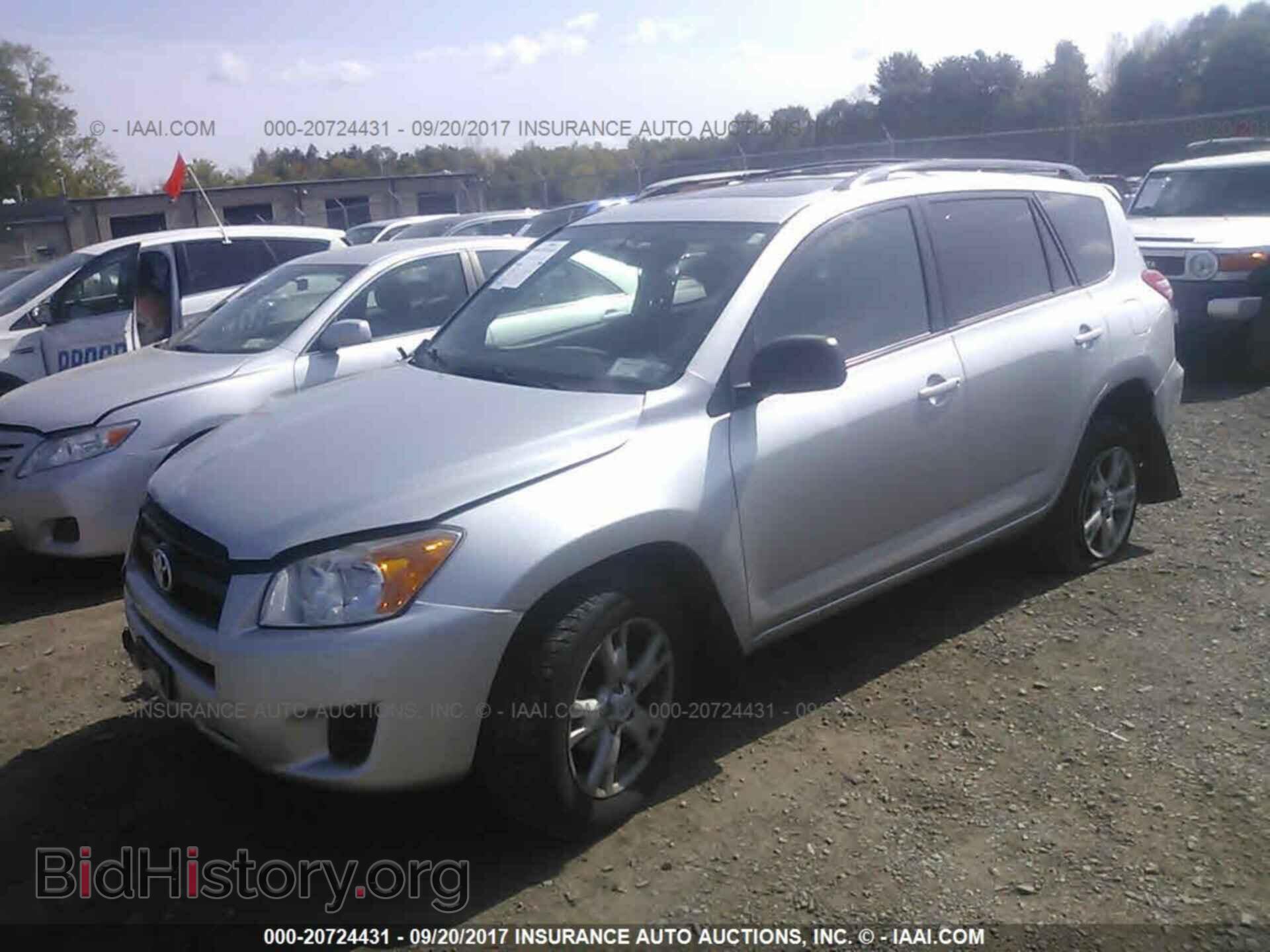 2011 Toyota Rav4 - VIN: 2T3BF4DV3BW103397 - Фото 2