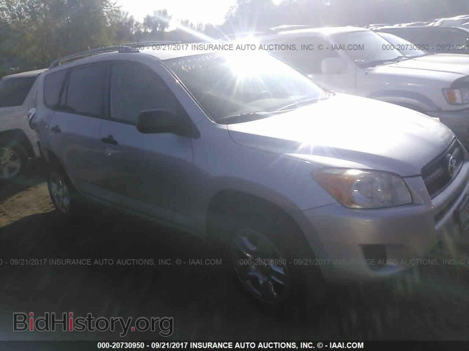 Фотография 2T3BF4DV3CW213934 - Toyota Rav4 2012