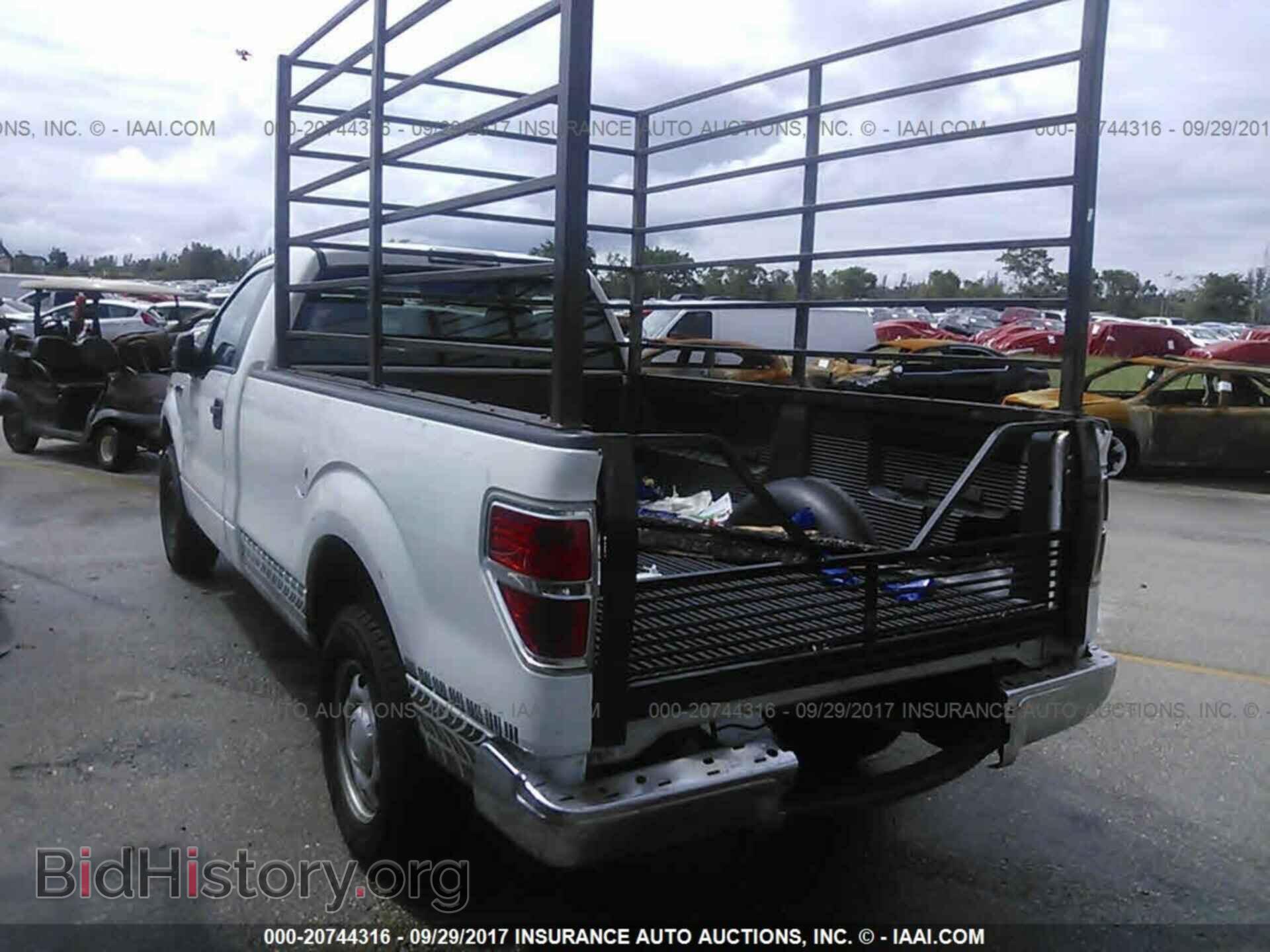 2011 Ford F150 - VIN: 1FTMF1CMXBKD02746 - Фото 3