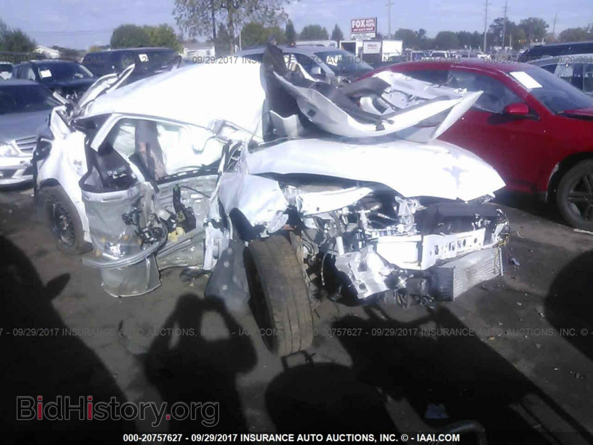 Photo 1FADP3L98DL137495 - Ford Focus 2013