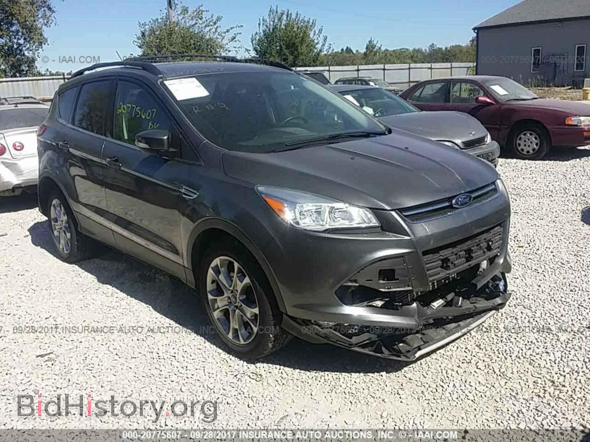 Photo 1FMCU0H99DUB62532 - Ford Escape 2013