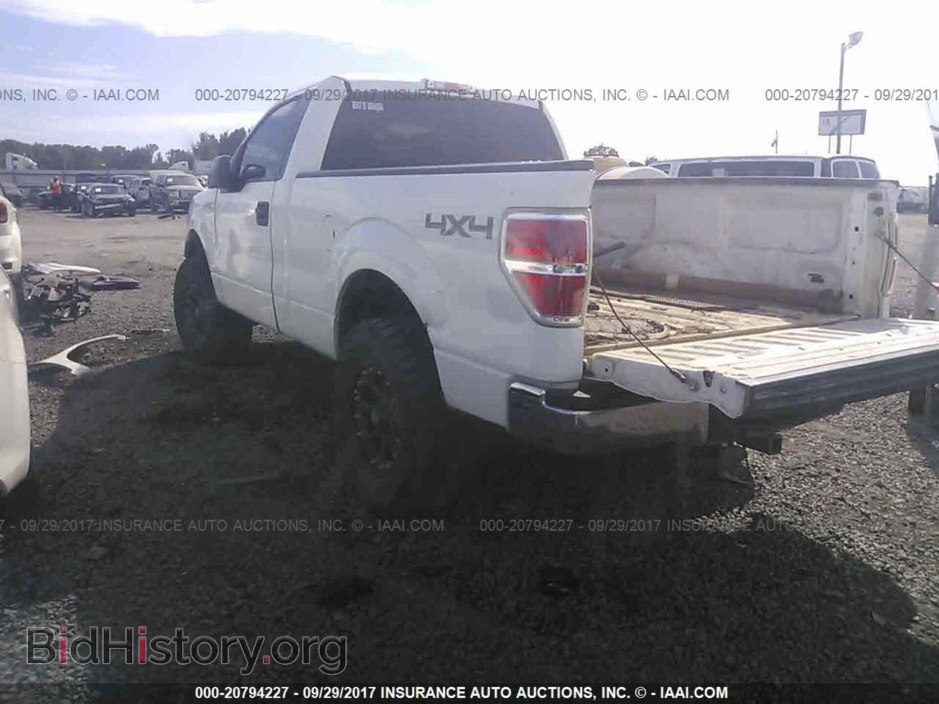 2013 Ford F150 - VIN: 1FTMF1EF5DKD71961 - Фото 3