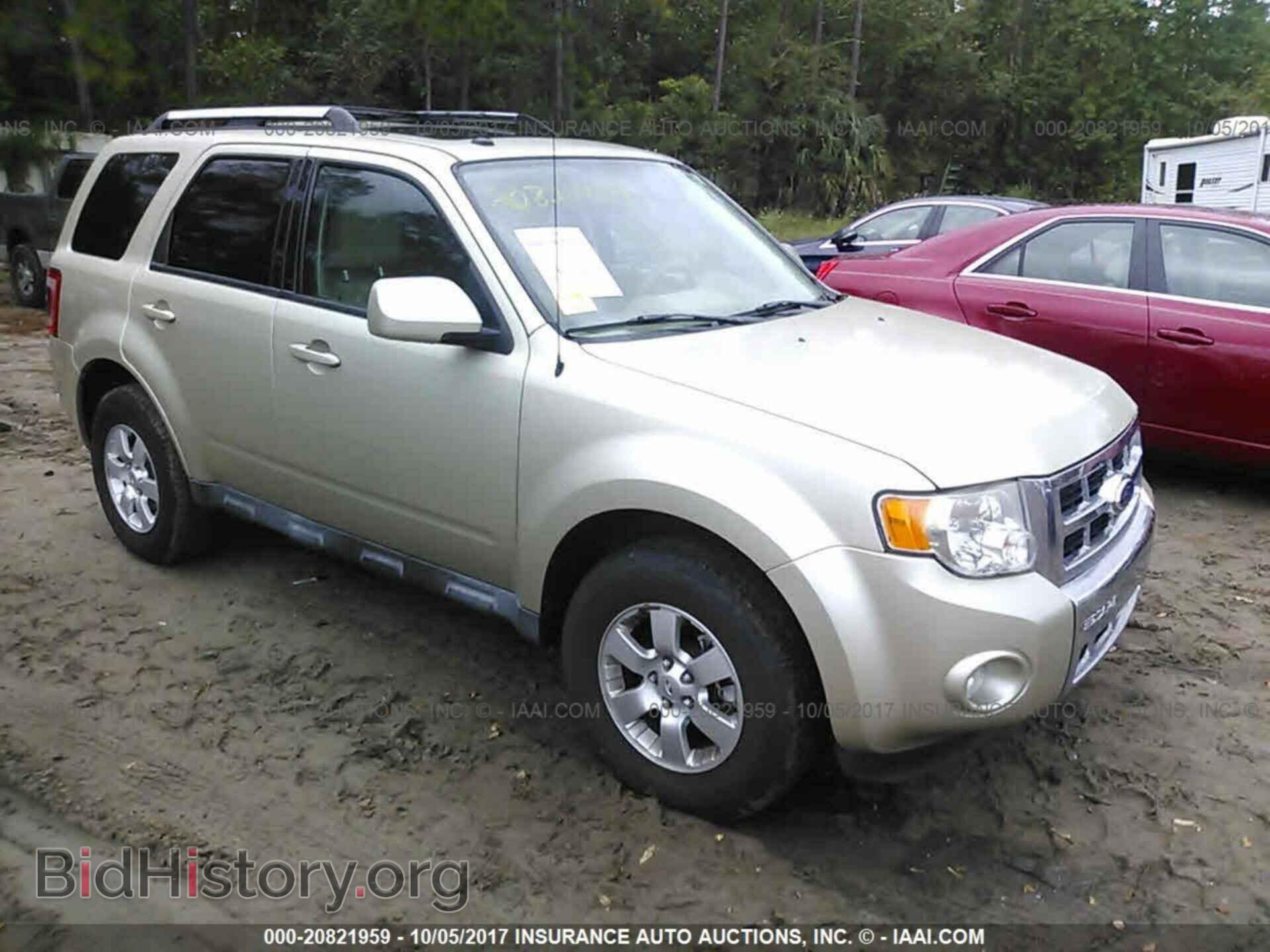 Фотография 1FMCU0E71BKB54484 - Ford Escape 2011