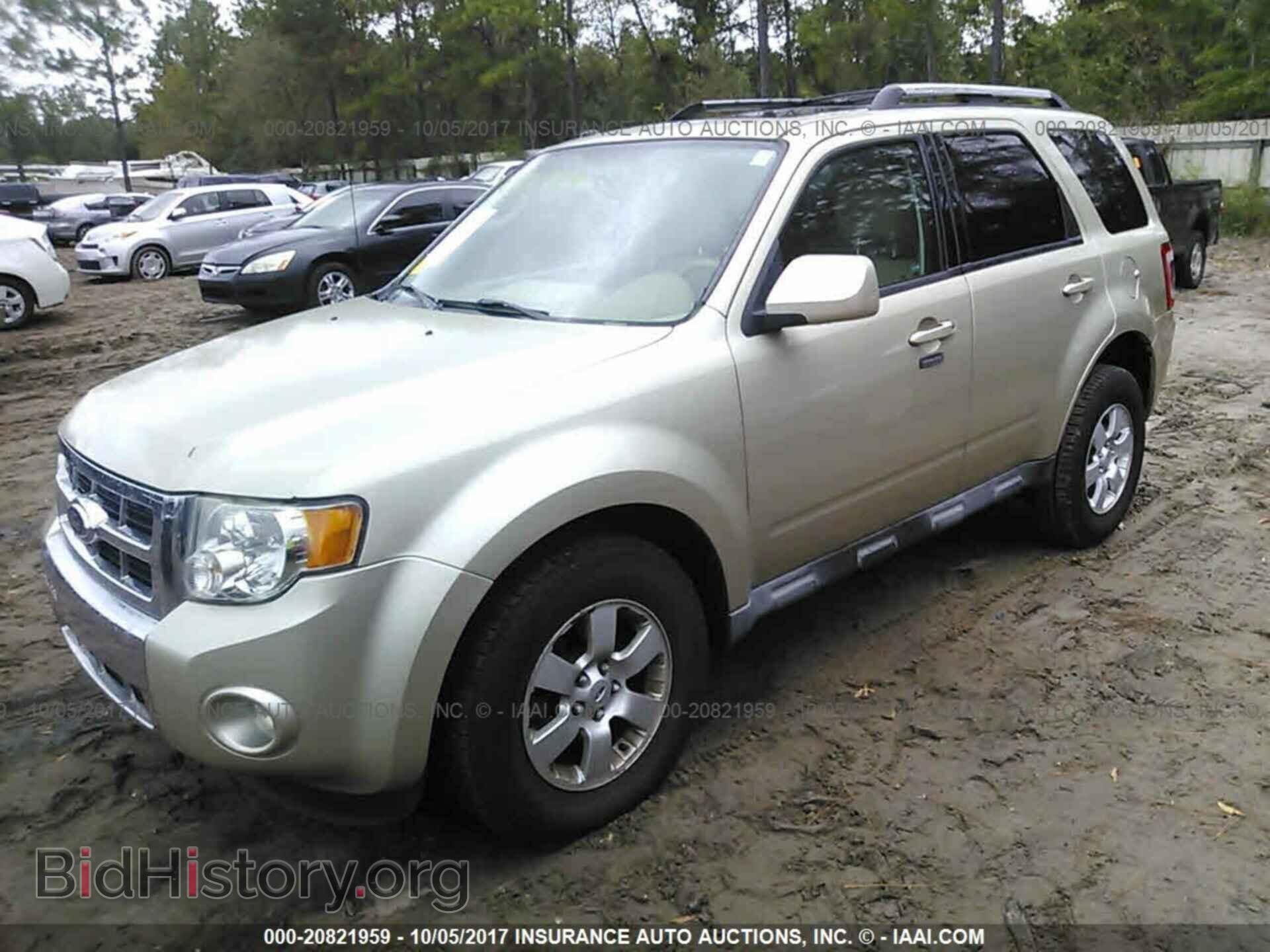 2011 Ford Escape - VIN: 1FMCU0E71BKB54484 - Фото 2