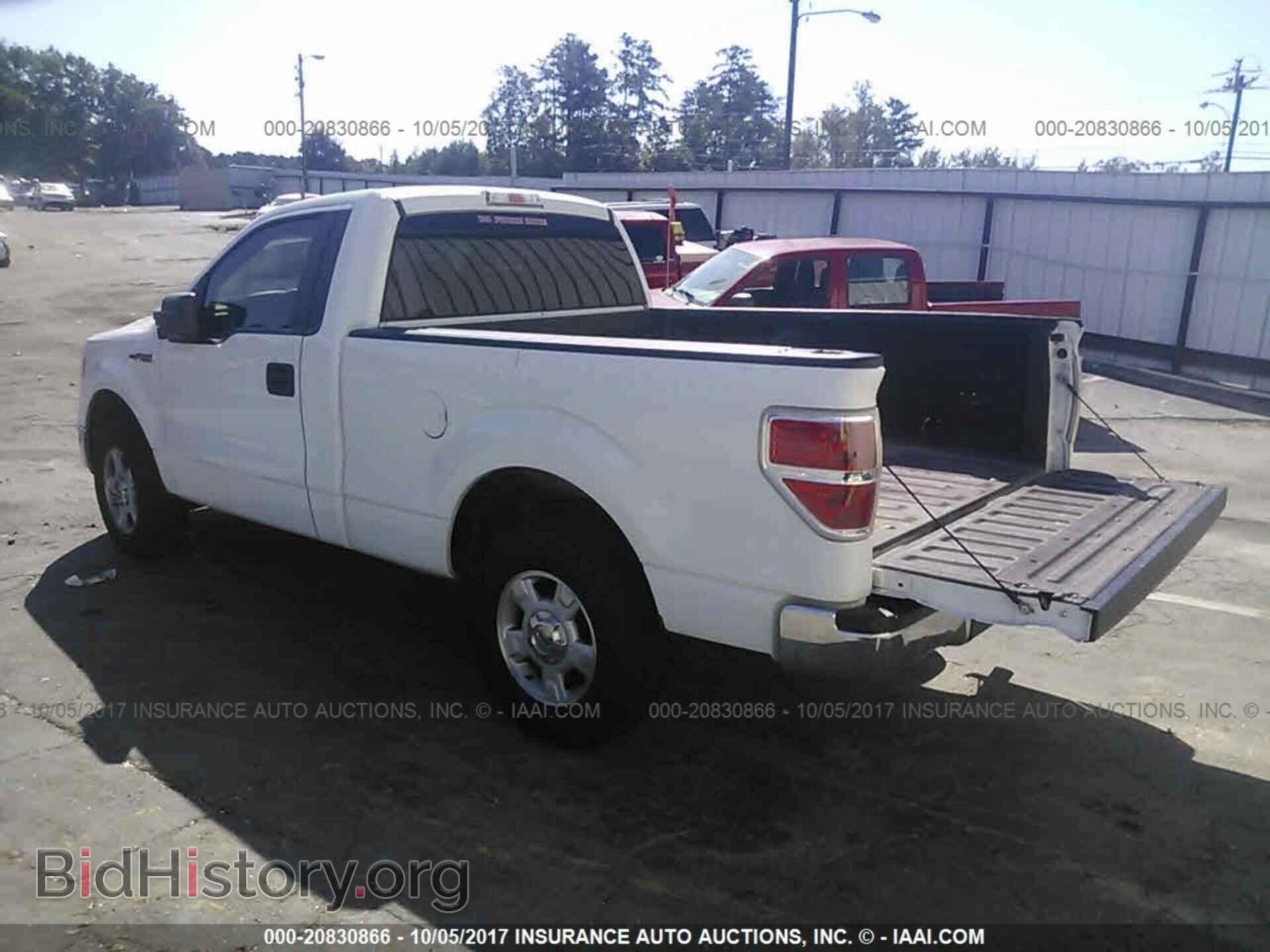 2011 Ford F150 - VIN: 1FTMF1CM4BKD07554 - Фото 3