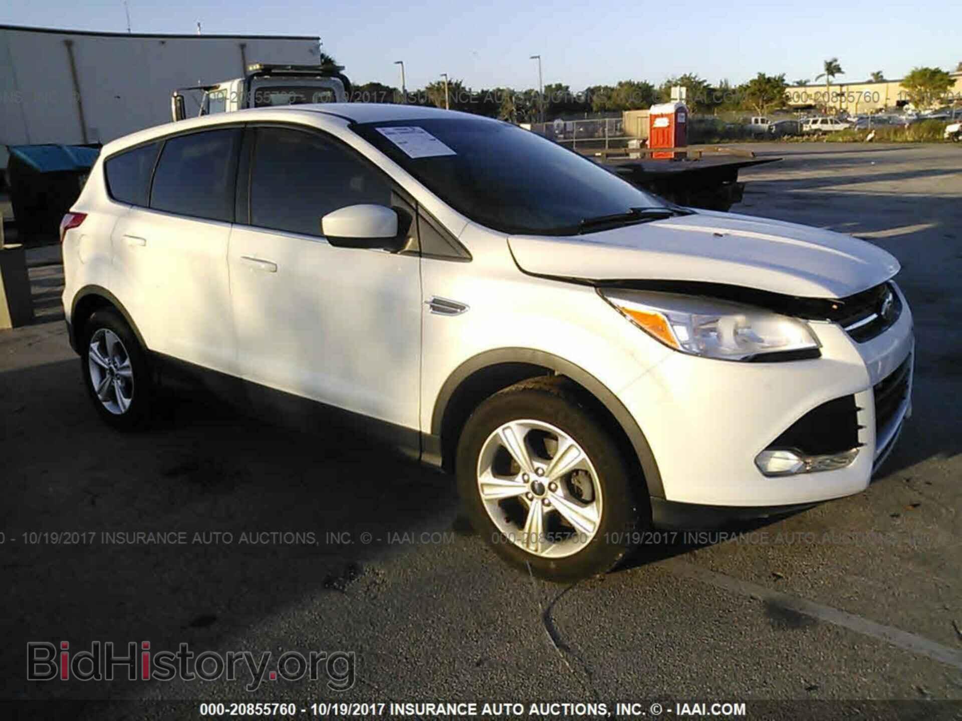 Photo 1FMCU0GX8DUD56498 - Ford Escape 2013