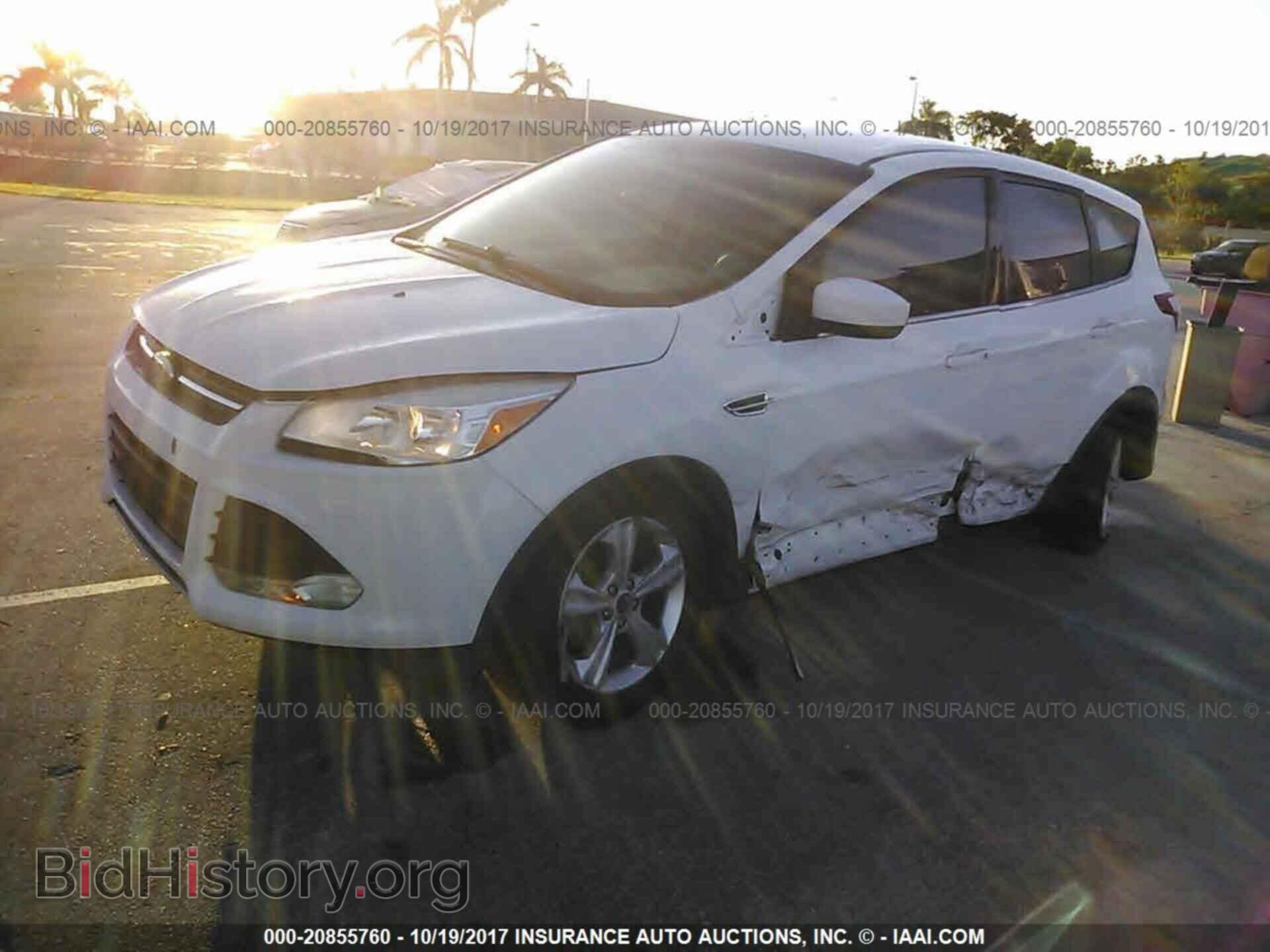 2013 Ford Escape - VIN: 1FMCU0GX8DUD56498 - Фото 2