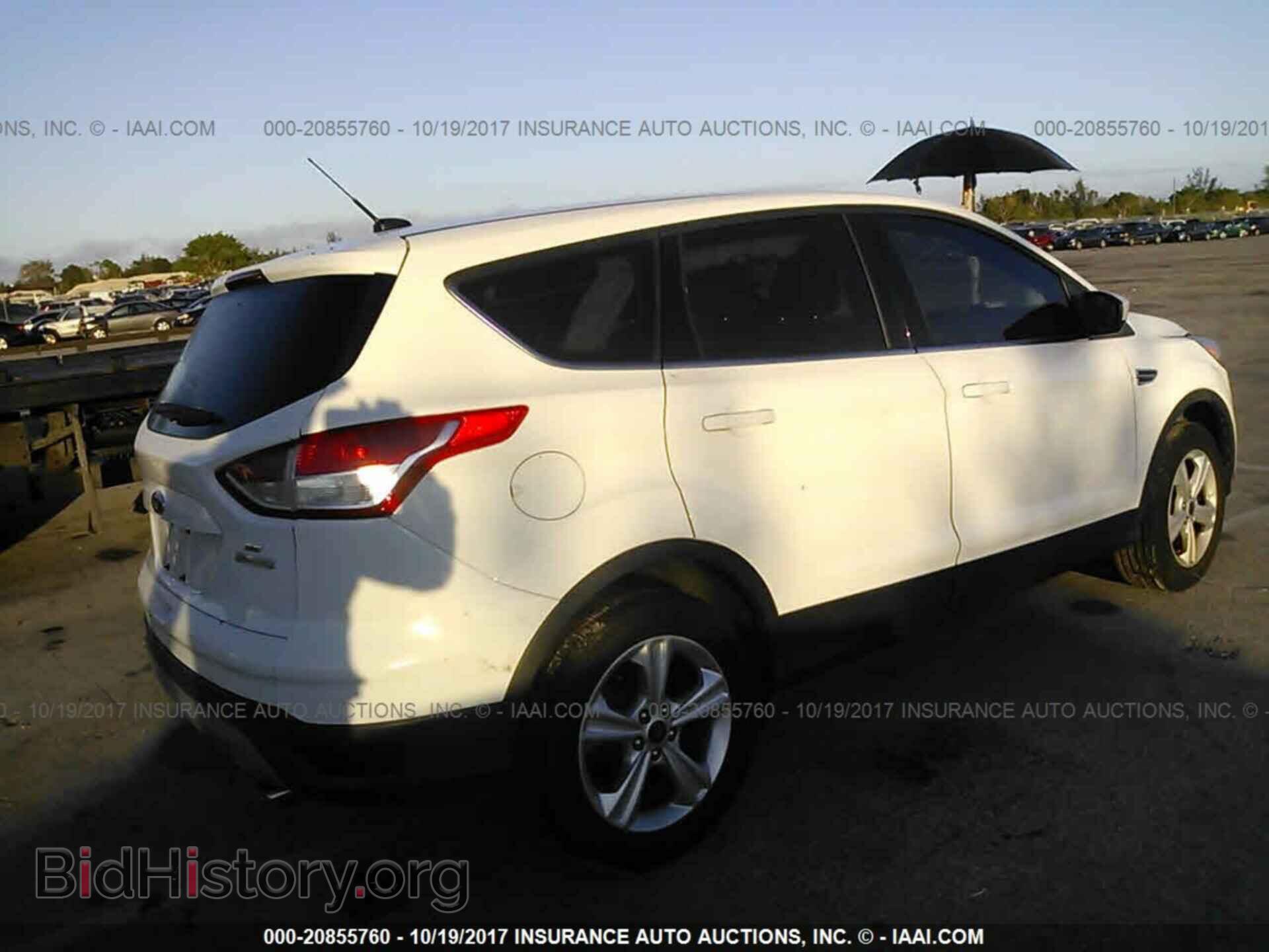 2013 Ford Escape - VIN: 1FMCU0GX8DUD56498 - Фото 4
