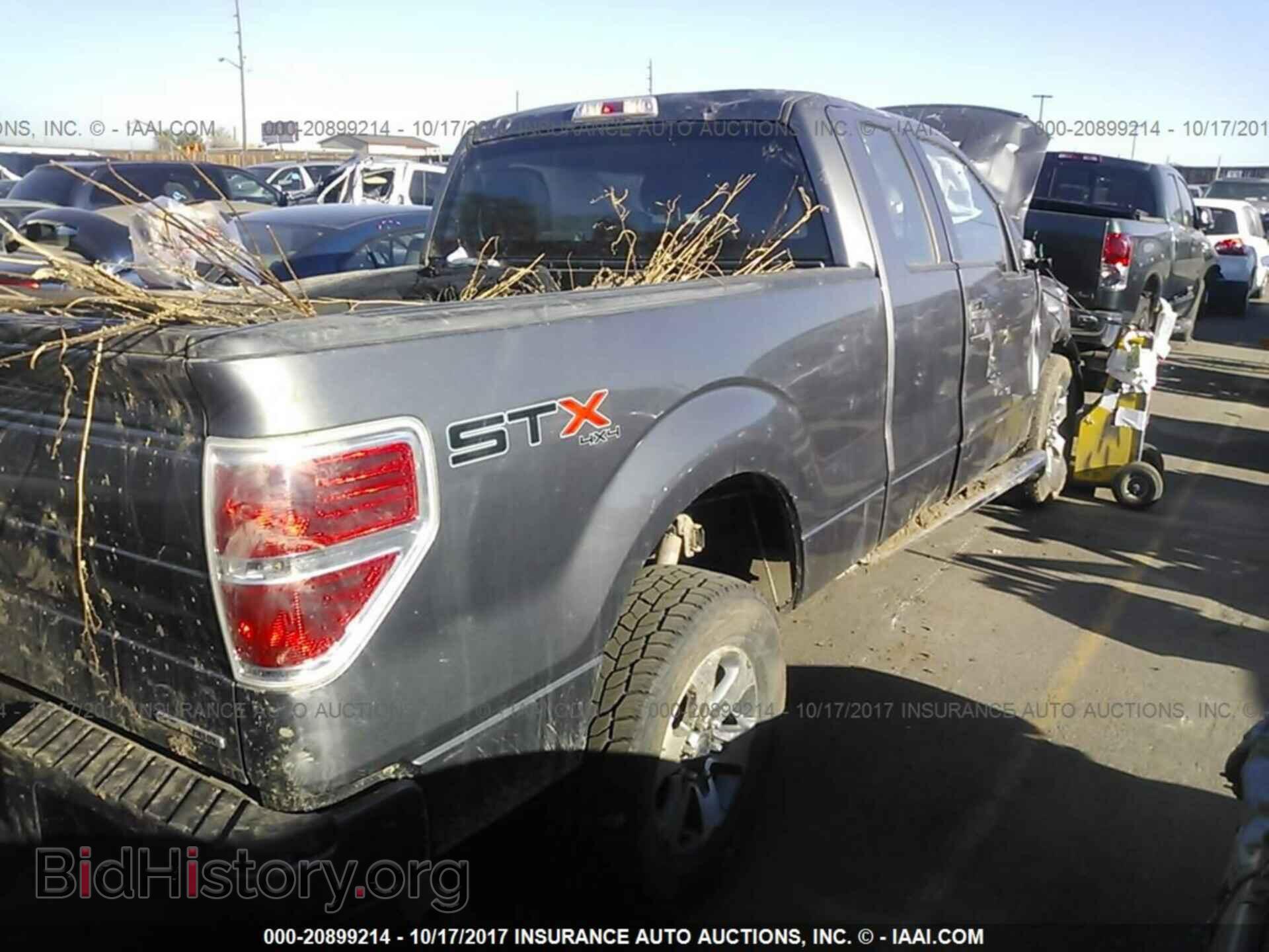 2013 Ford F150 - VIN: 1FTFX1EF2DFD68529 - Photo 4