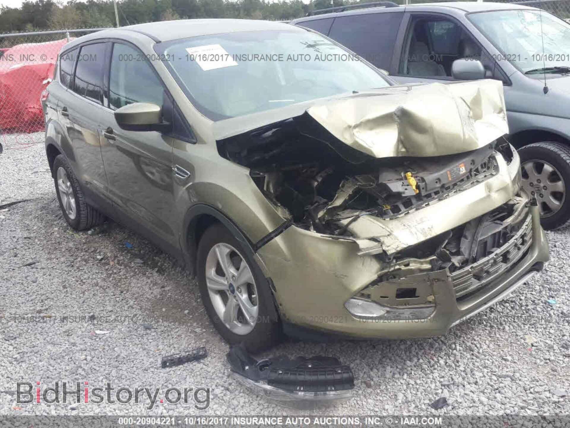 Photo 1FMCU0GX7DUD49509 - Ford Escape 2013