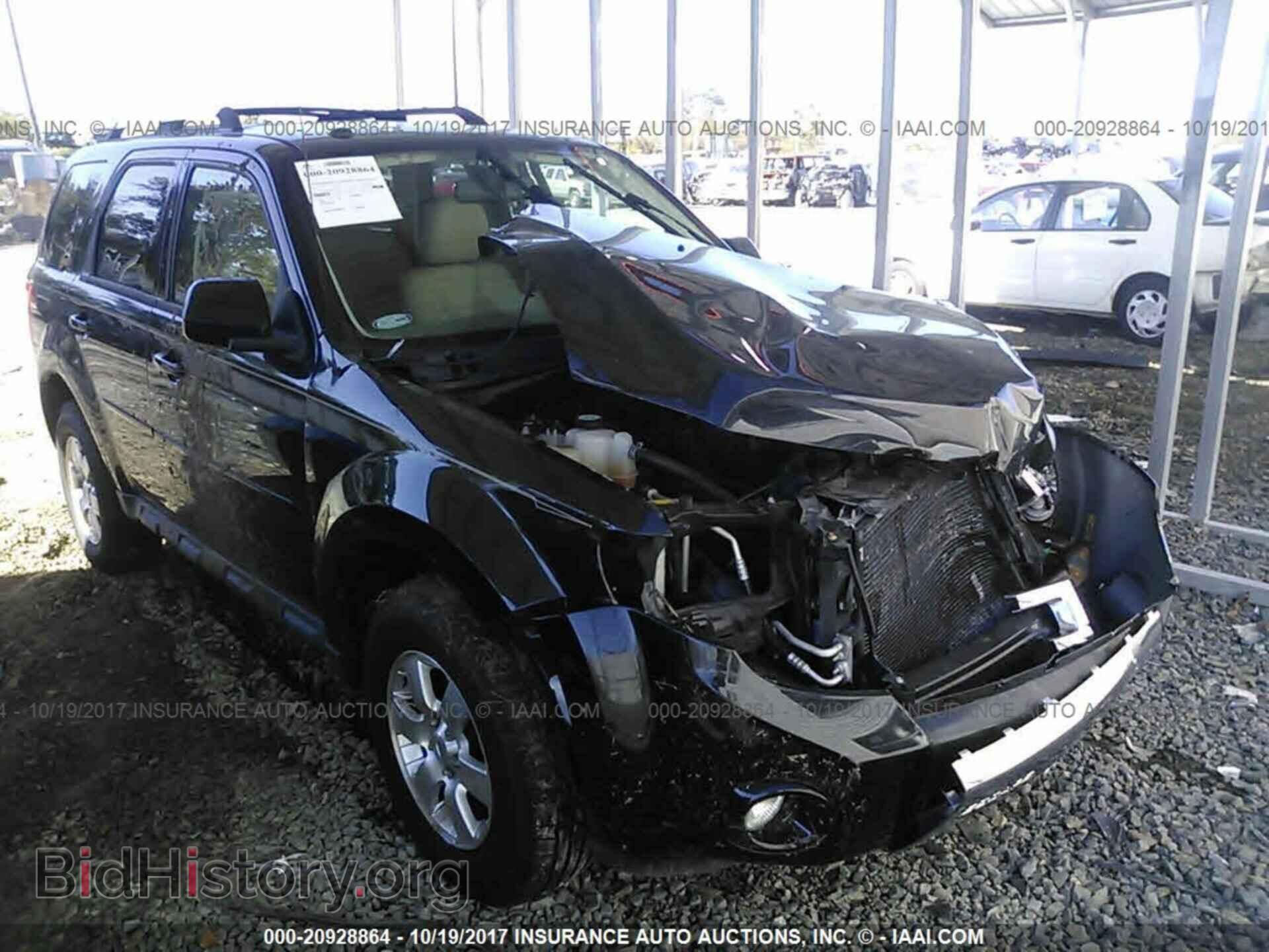 Фотография 1FMCU9EG3BKC41033 - Ford Escape 2011