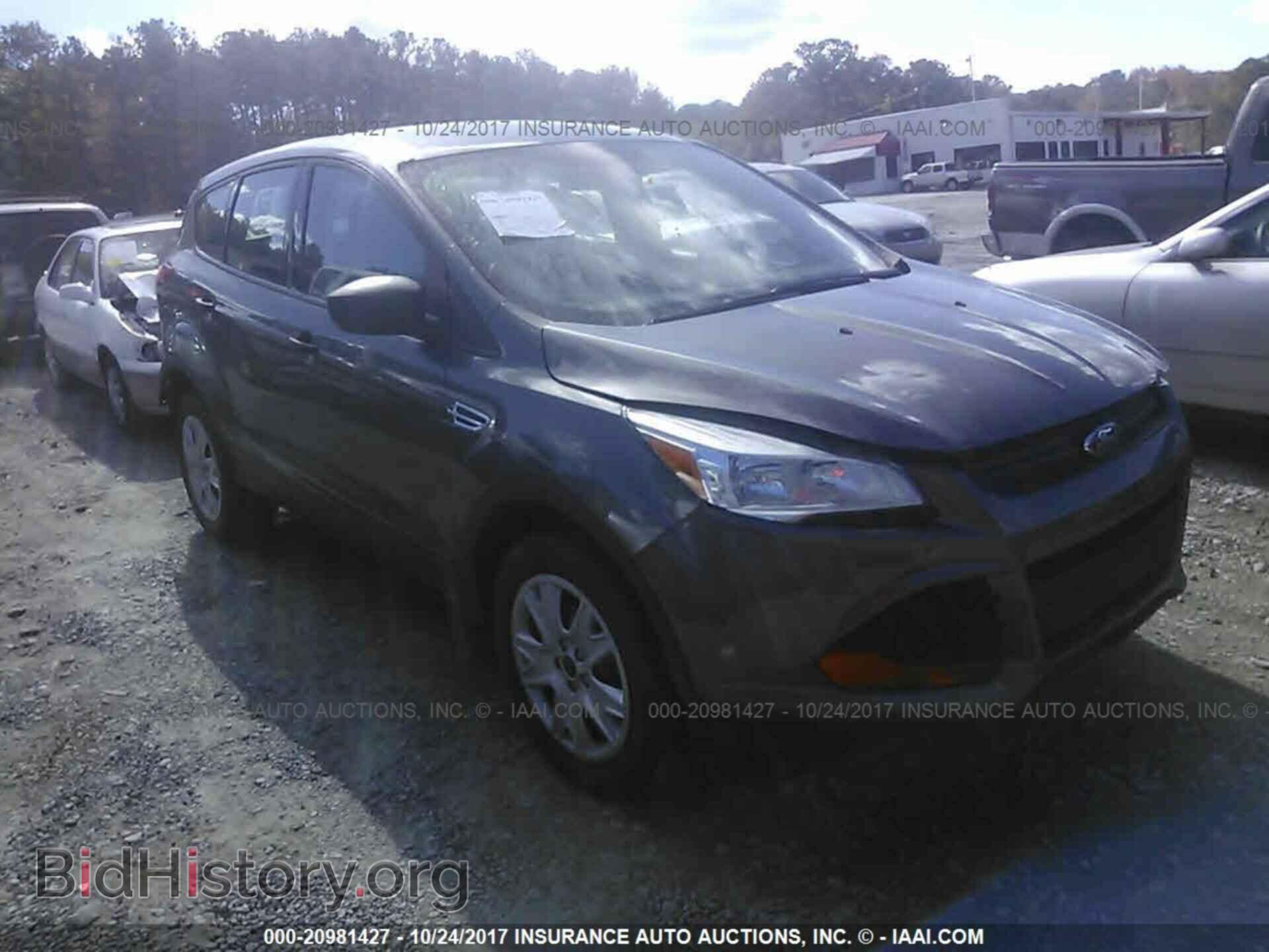 Фотография 1FMCU0F79DUB36174 - Ford Escape 2013