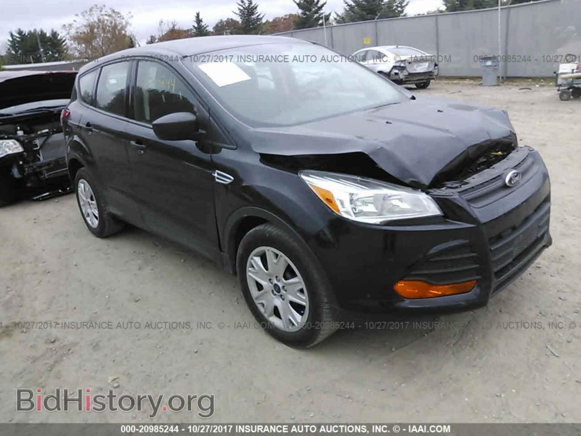 Фотография 1FMCU0F70DUD69716 - Ford Escape 2013