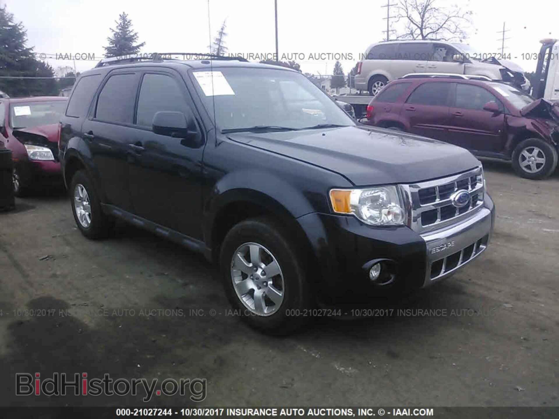 Фотография 1FMCU0EG1BKC03554 - Ford Escape 2011
