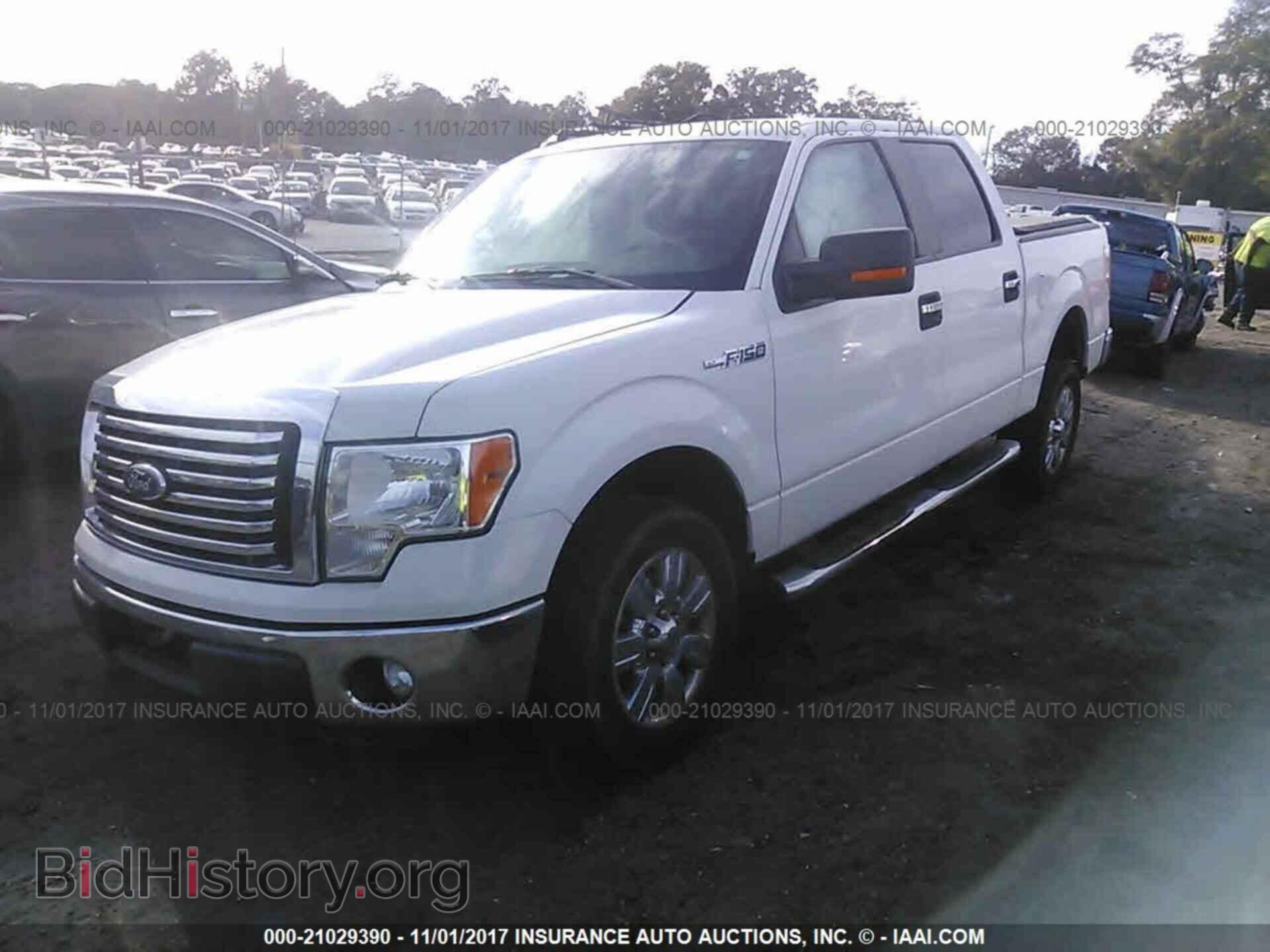 2011 Ford F150 - VIN: 1FTEW1CM4BFB88384 - Фото 2