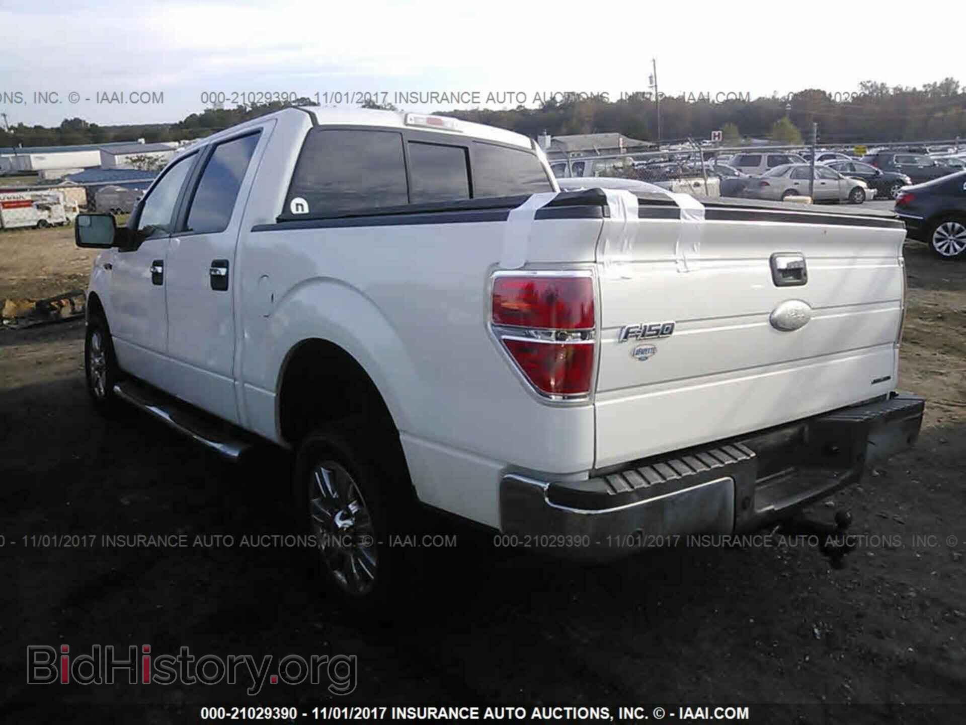 2011 Ford F150 - VIN: 1FTEW1CM4BFB88384 - Фото 3