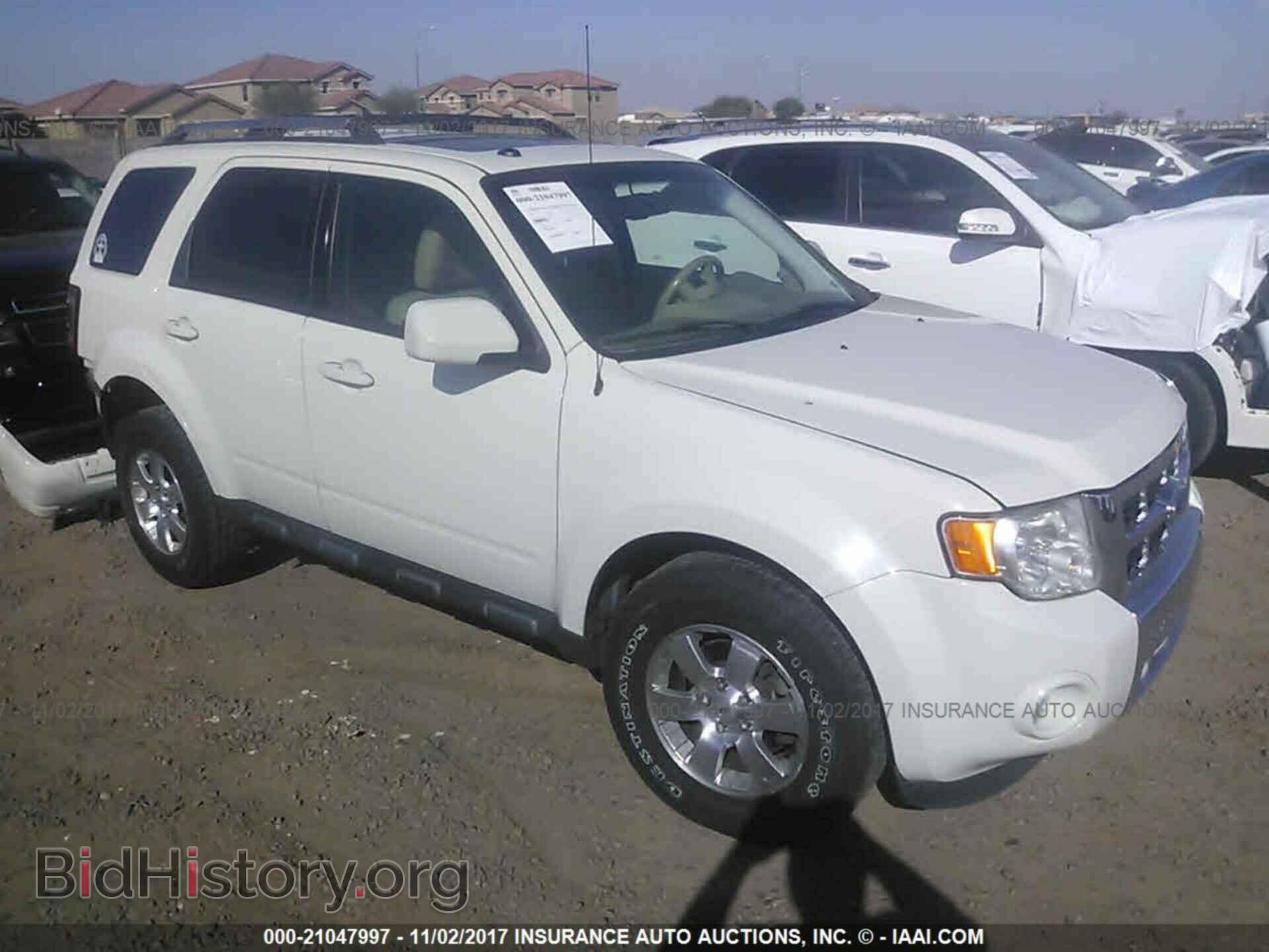 Фотография 1FMCU0EG6BKC10922 - Ford Escape 2011