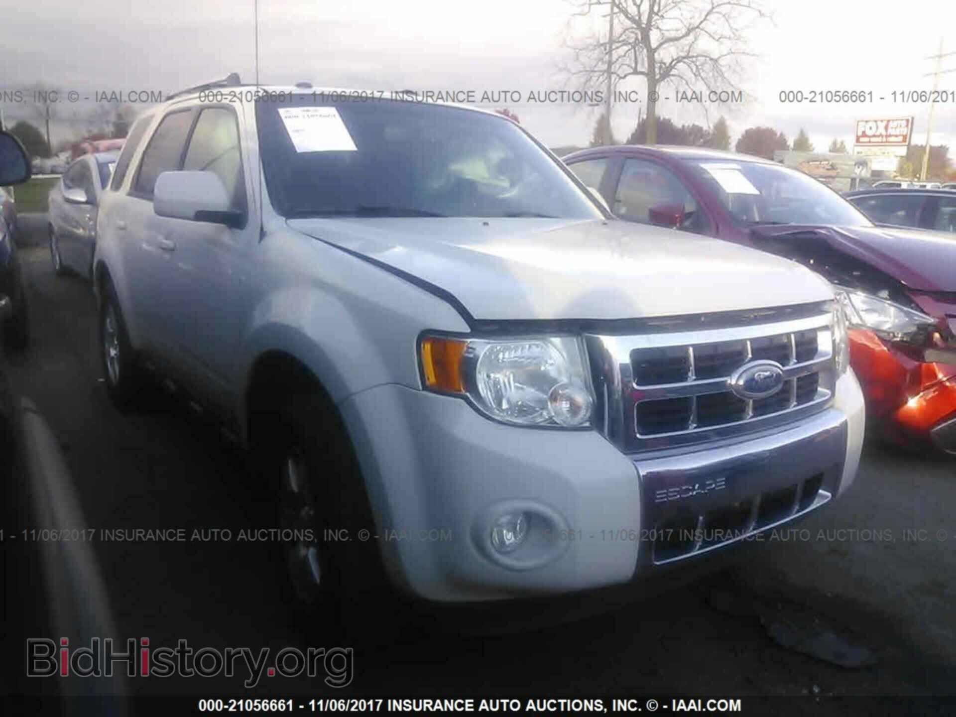 Фотография 1FMCU0E71BKB02613 - Ford Escape 2011