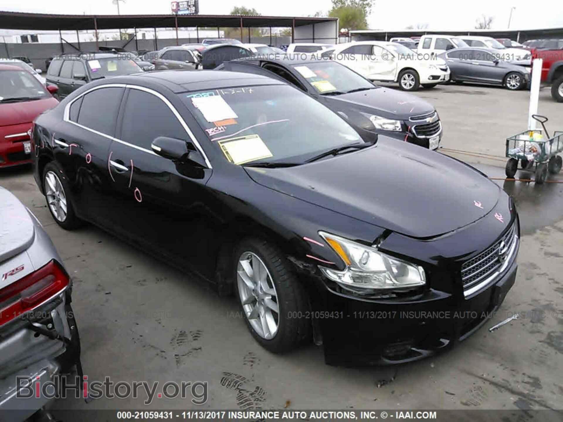 Фотография 1N4AA5AP6BC837126 - Nissan Maxima 2011