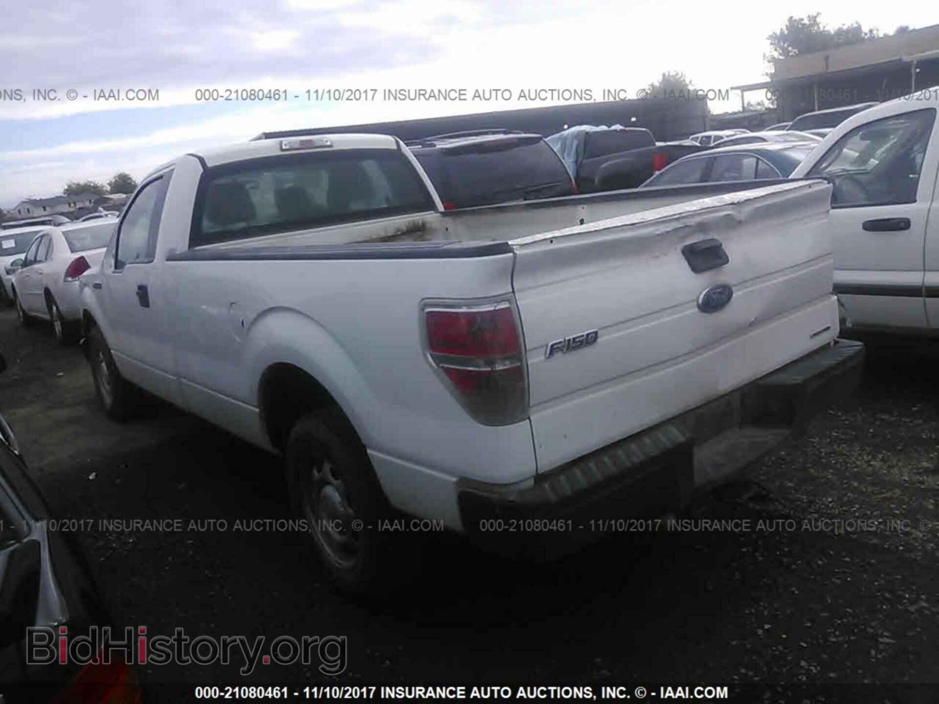 2013 Ford F150 - VIN: 1FTMF1CM6DKE45969 - Фото 3