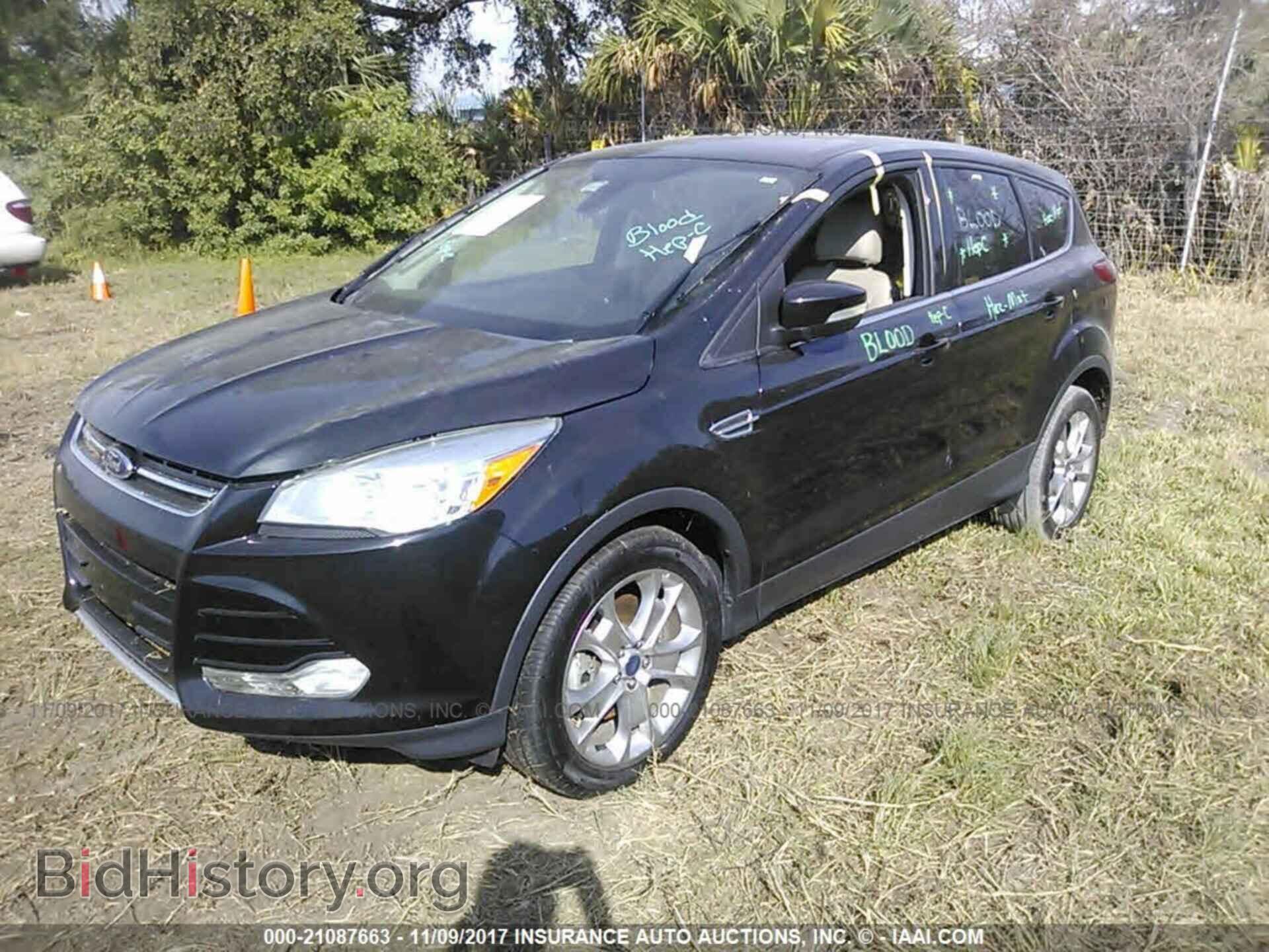 2013 Ford Escape - VIN: 1FMCU0H97DUC62869 - Photo 2