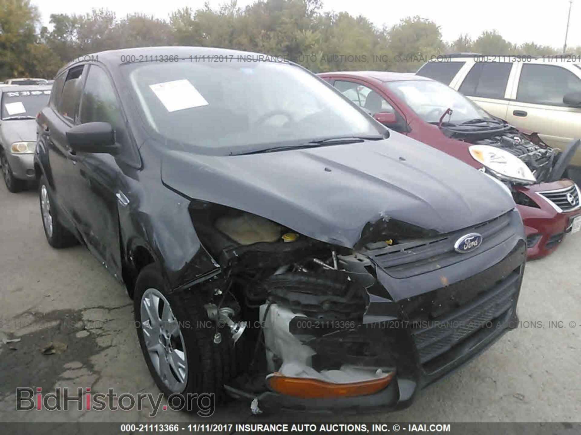Photo 1FMCU0F76DUC13356 - Ford Escape 2013