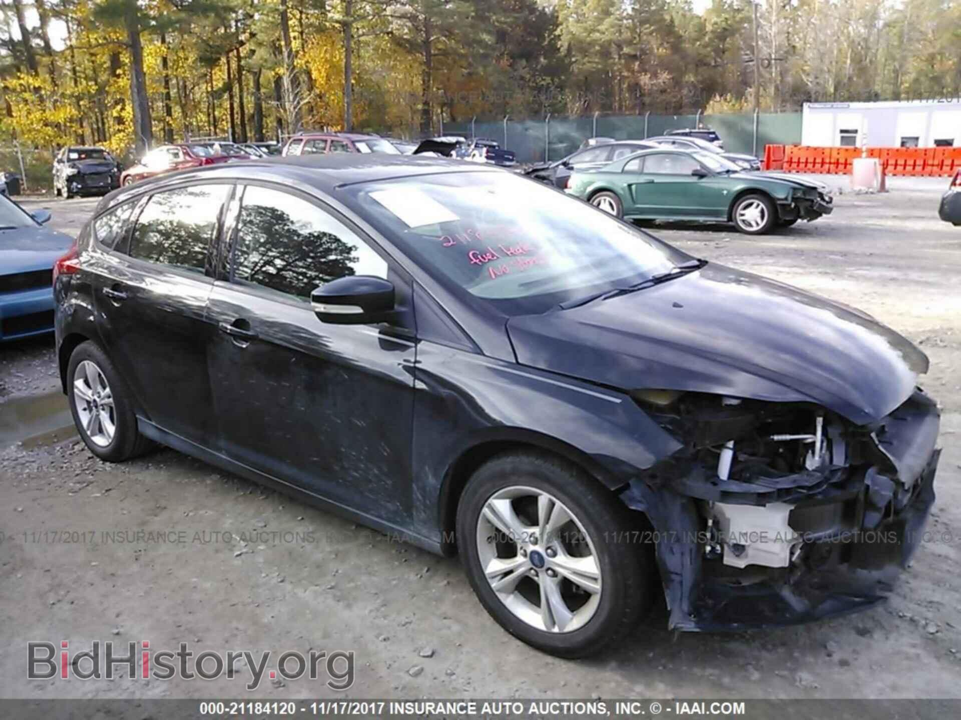 Photo 1FADP3K29DL123643 - Ford Focus 2013