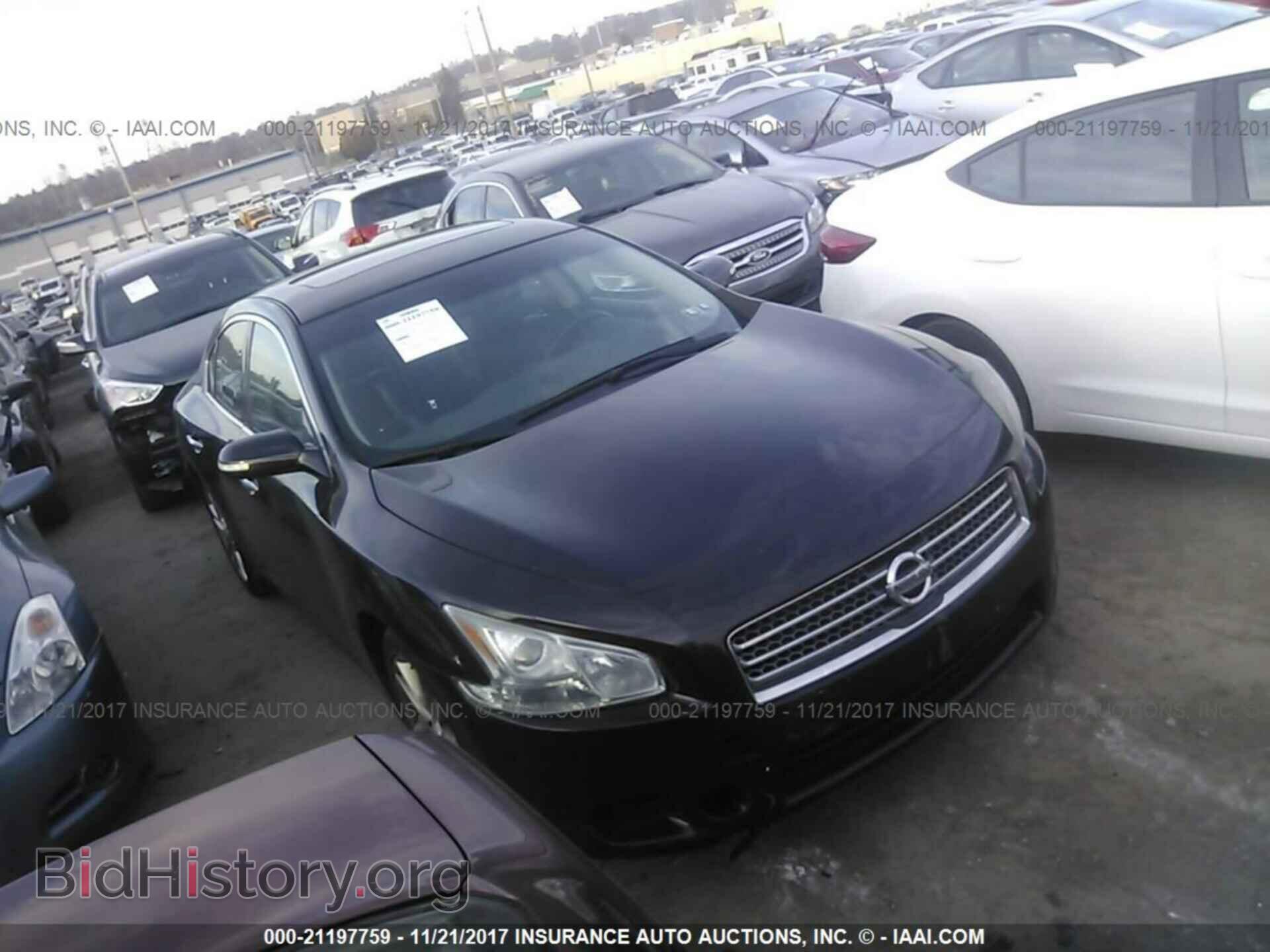 Фотография 1N4AA5AP6BC858039 - Nissan Maxima 2011