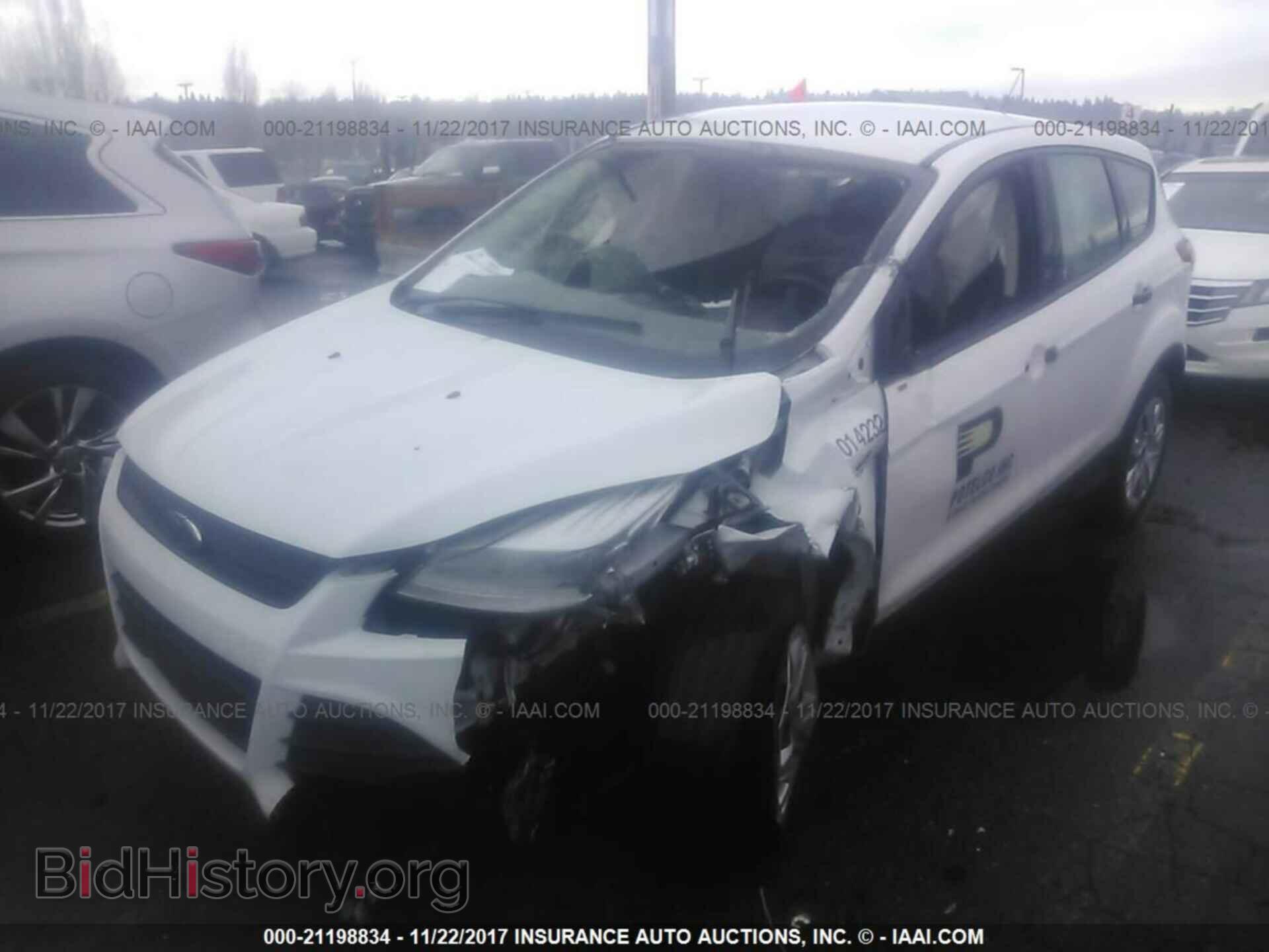 2014 Ford Escape - VIN: 1FMCU0F74EUA06854 - Фото 2