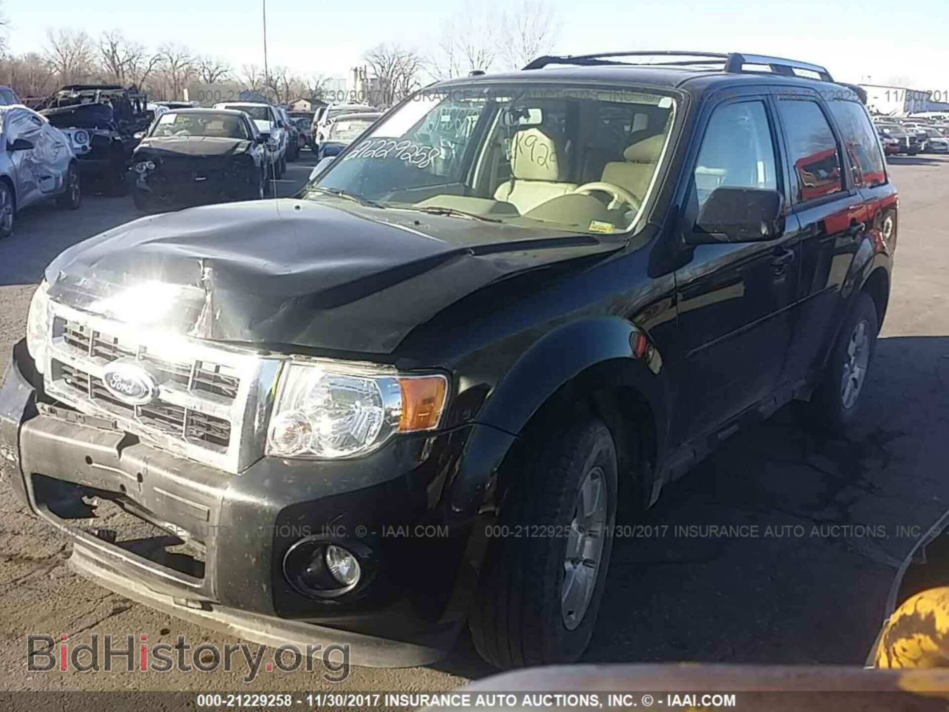 2011 Ford Escape - VIN: 1FMCU9EG5BKC41521 - Фото 2