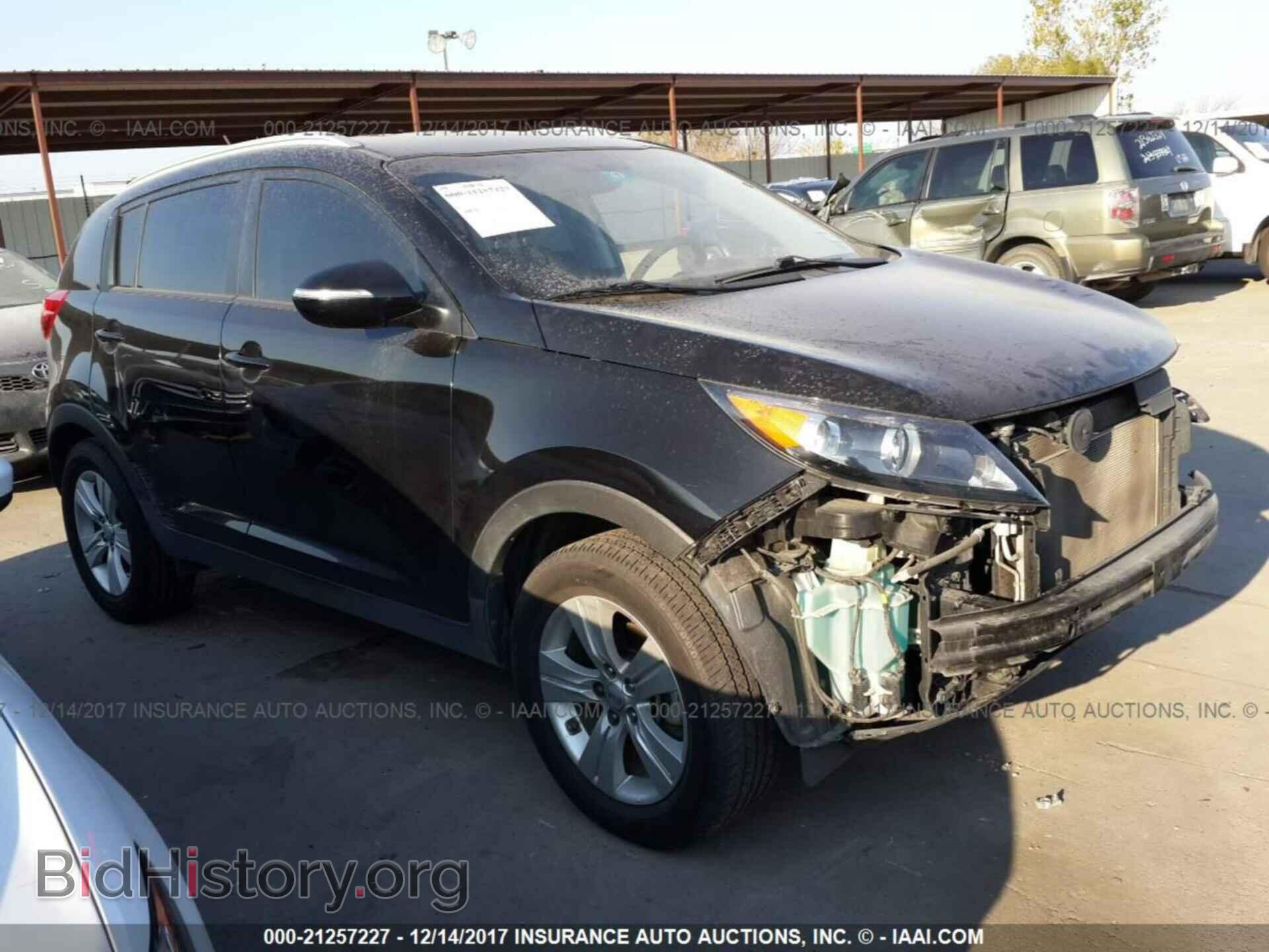 Фотография KNDPB3A20C7211608 - Kia Sportage 2012
