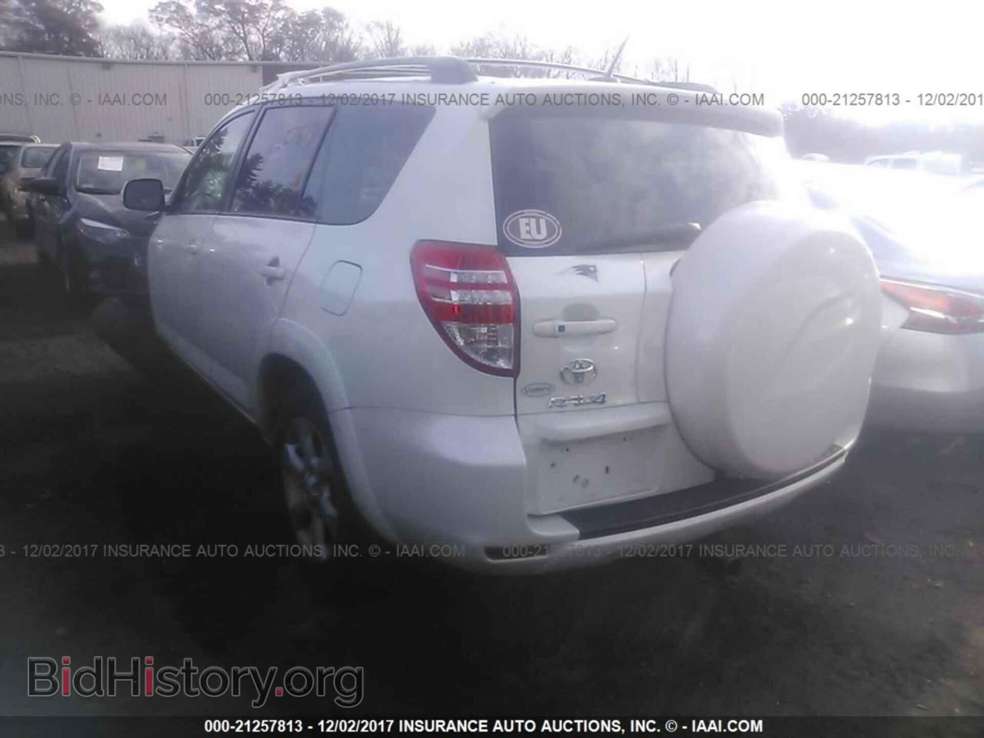2011 Toyota Rav4 - VIN: 2T3DF4DV4BW124719 - Фото 3