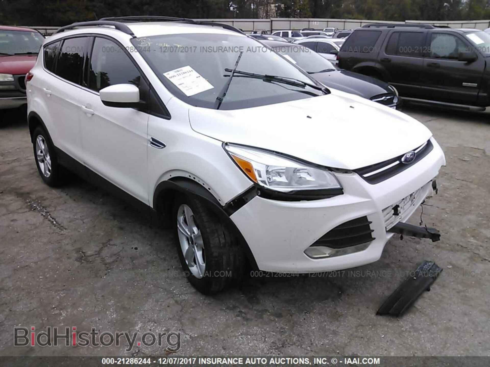 Photo 1FMCU0G95DUD85698 - Ford Escape 2013