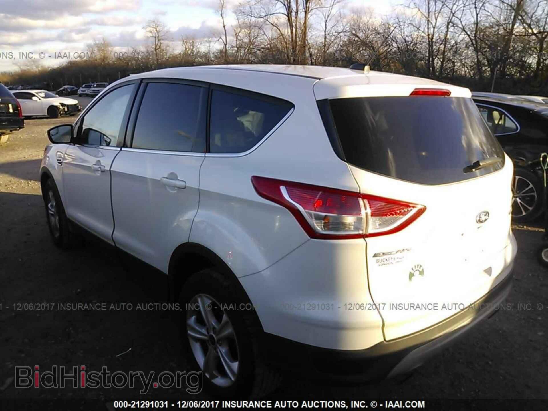 2014 Ford Escape - VIN: 1FMCU0GX0EUA75507 - Фото 3