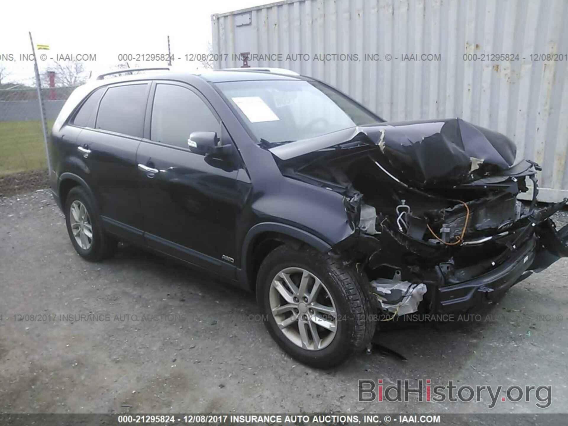 Фотография 5XYKTDA60EG443972 - Kia Sorento 2014